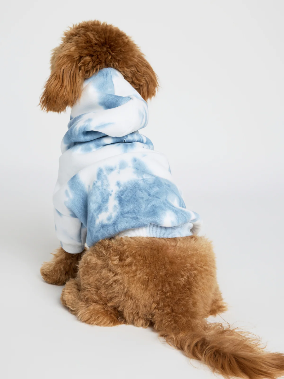 Minimalist Paw Hoodie 10 Minimalist Paw Hoodie