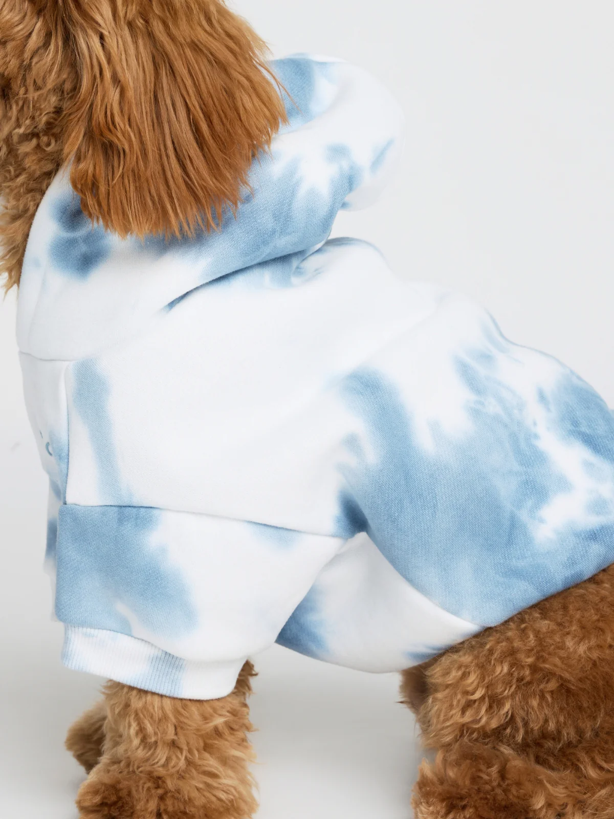 Minimalist Paw Hoodie 12 Minimalist Paw Hoodie