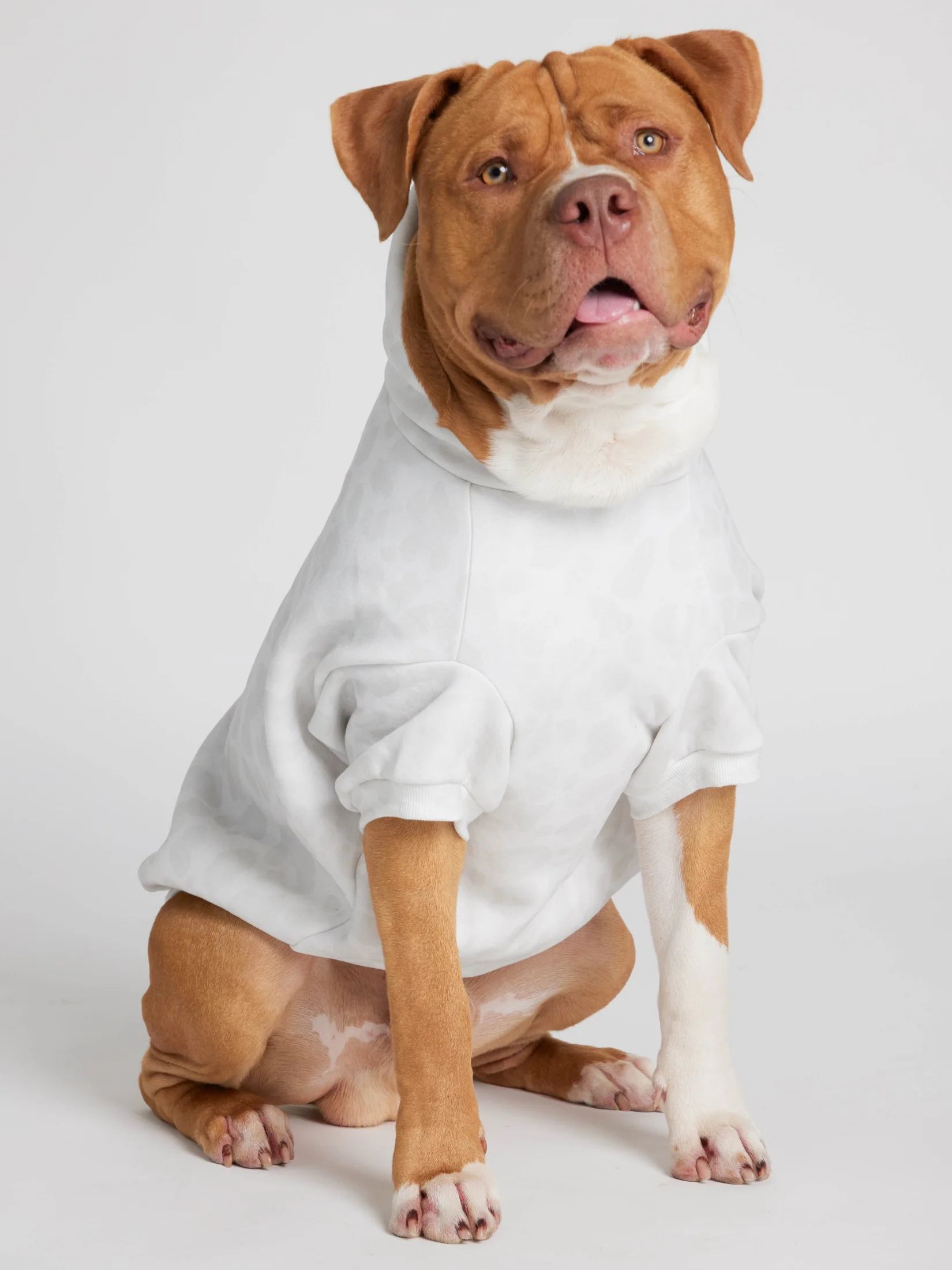 Minimalist Paw Hoodie 13 Minimalist Paw Hoodie