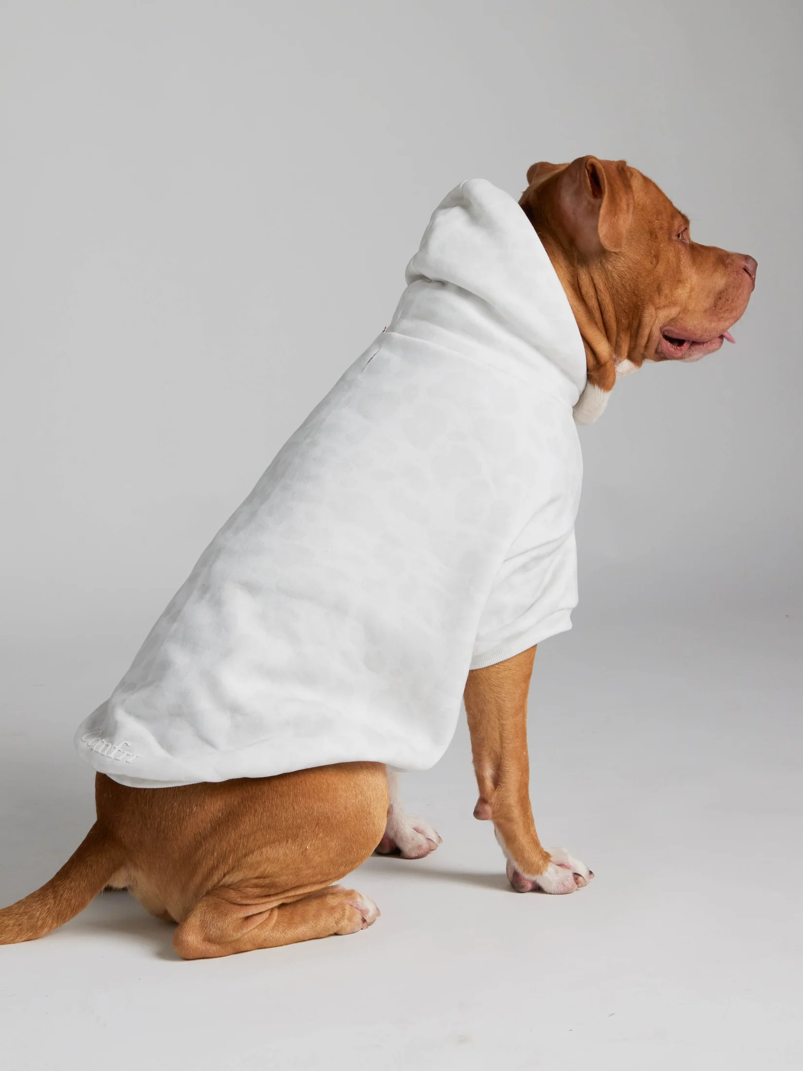 Minimalist Paw Hoodie 14 Minimalist Paw Hoodie