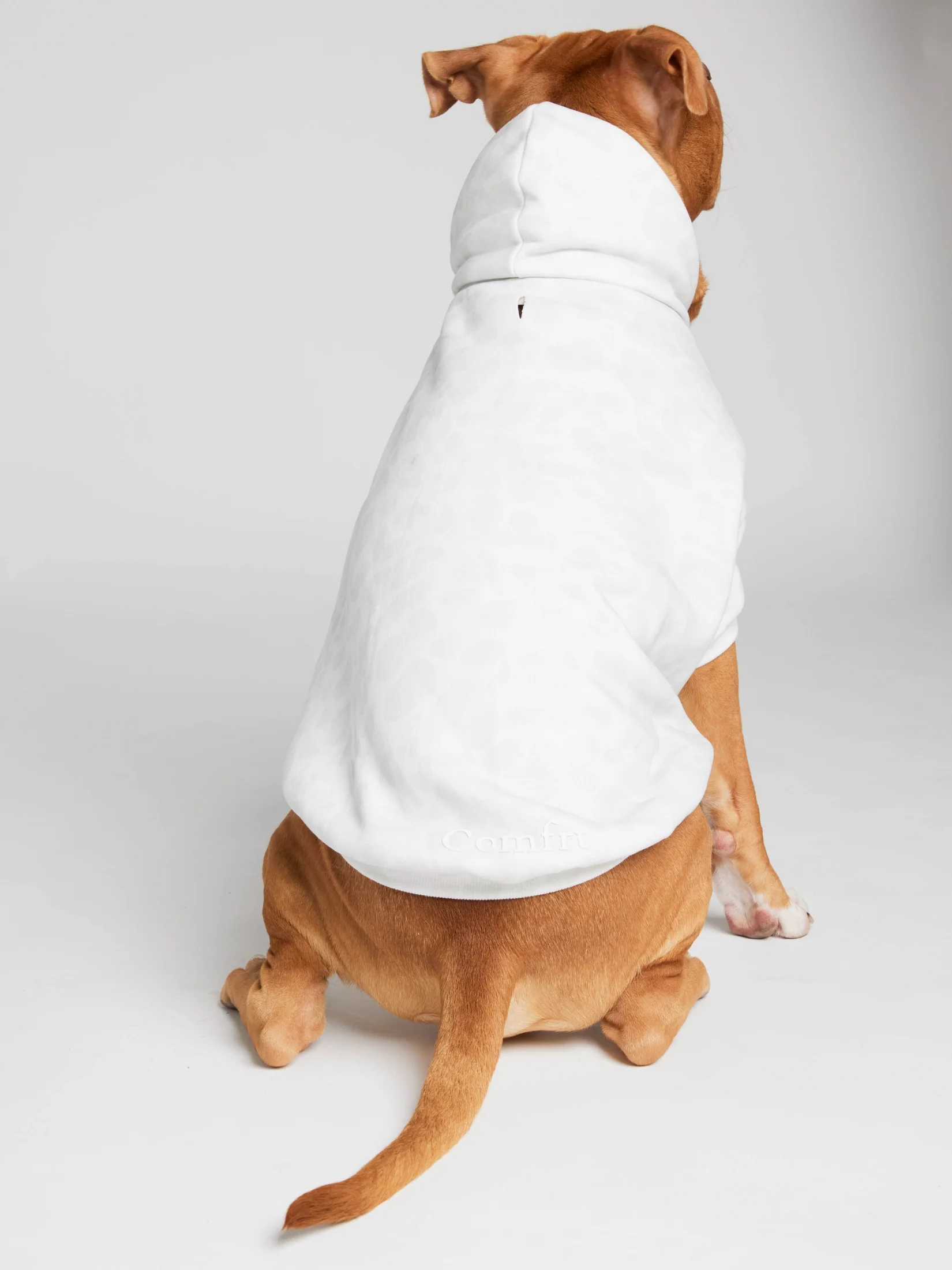 Minimalist Paw Hoodie 15 Minimalist Paw Hoodie