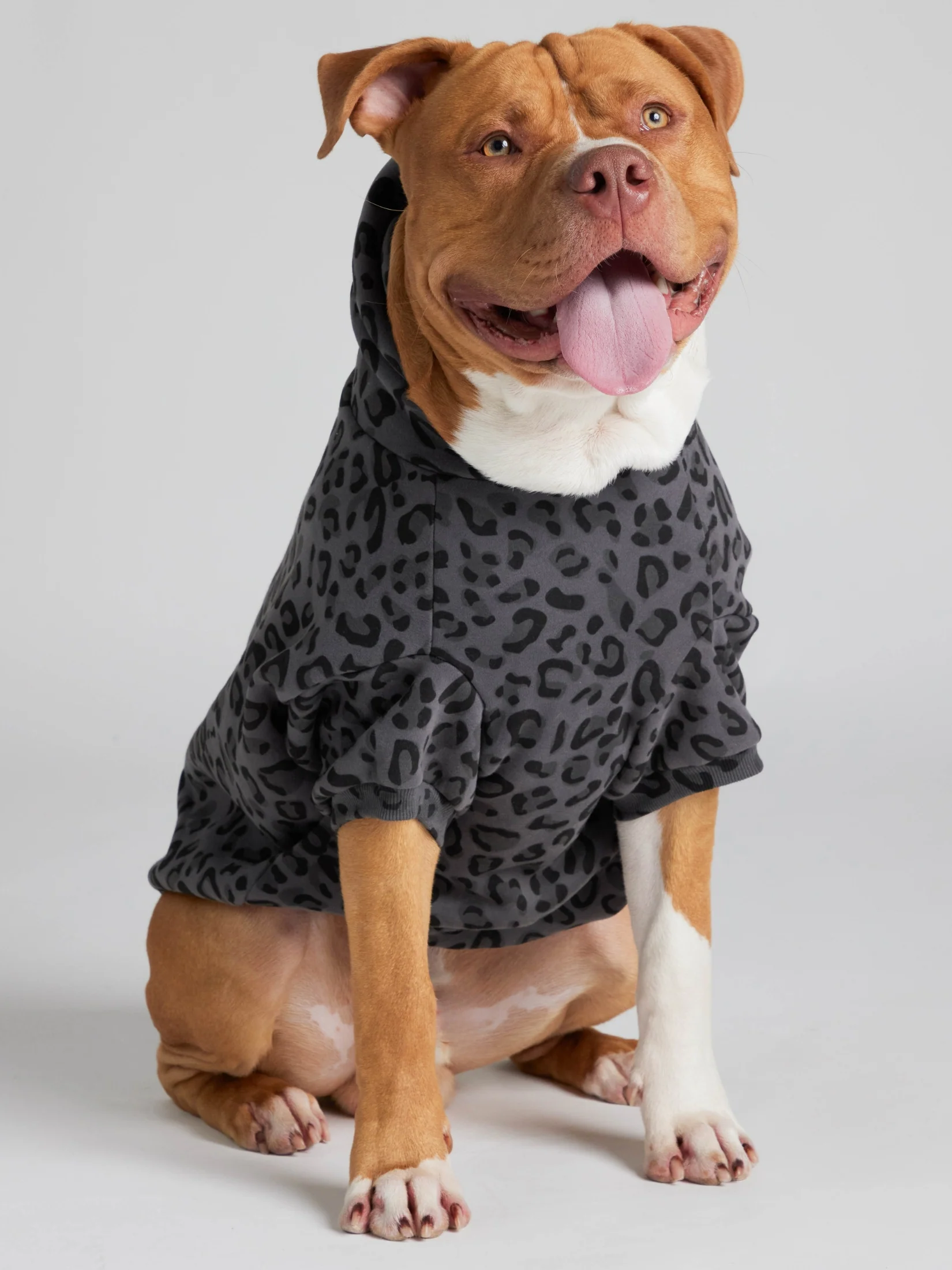 Minimalist Paw Hoodie 19 Minimalist Paw Hoodie