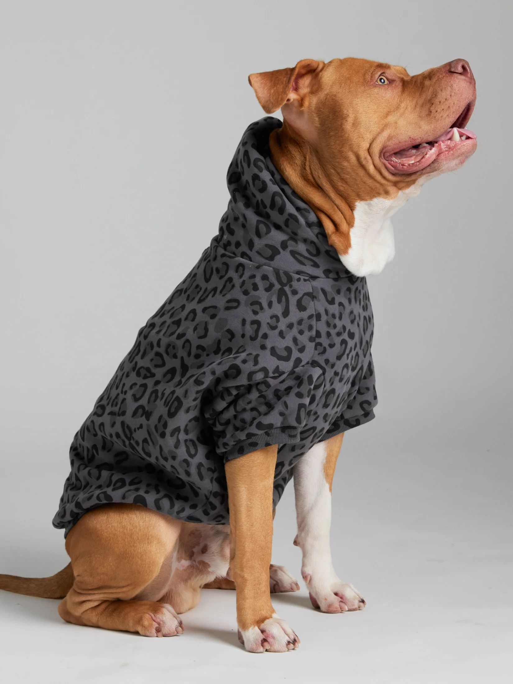 Minimalist Paw Hoodie 20 Minimalist Paw Hoodie