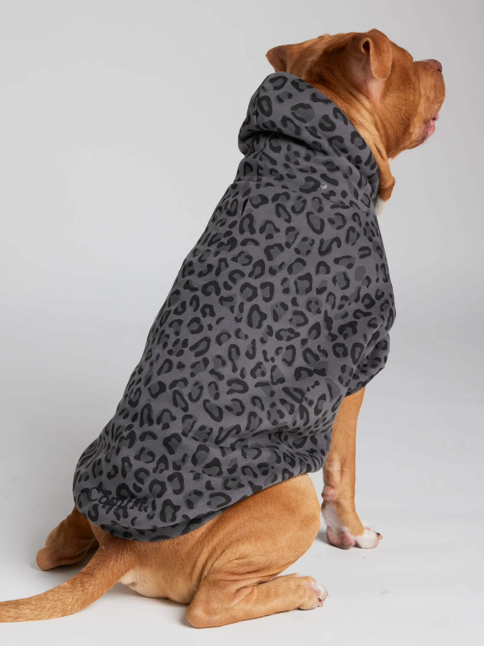 Minimalist Paw Hoodie 21 Minimalist Paw Hoodie