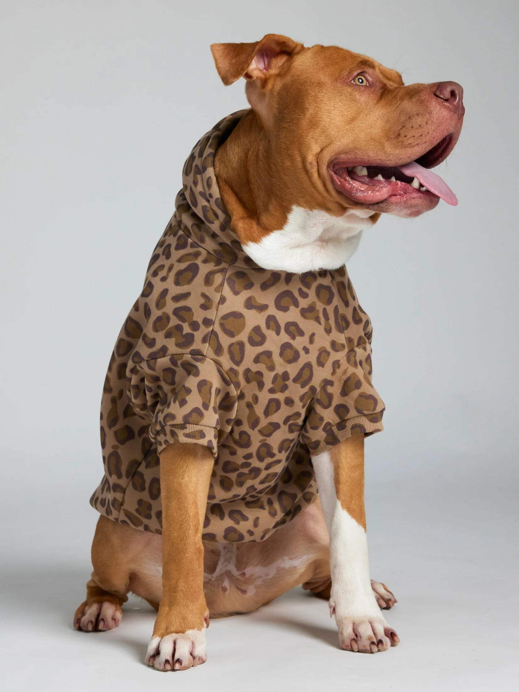 Minimalist Paw Hoodie 25 Minimalist Paw Hoodie