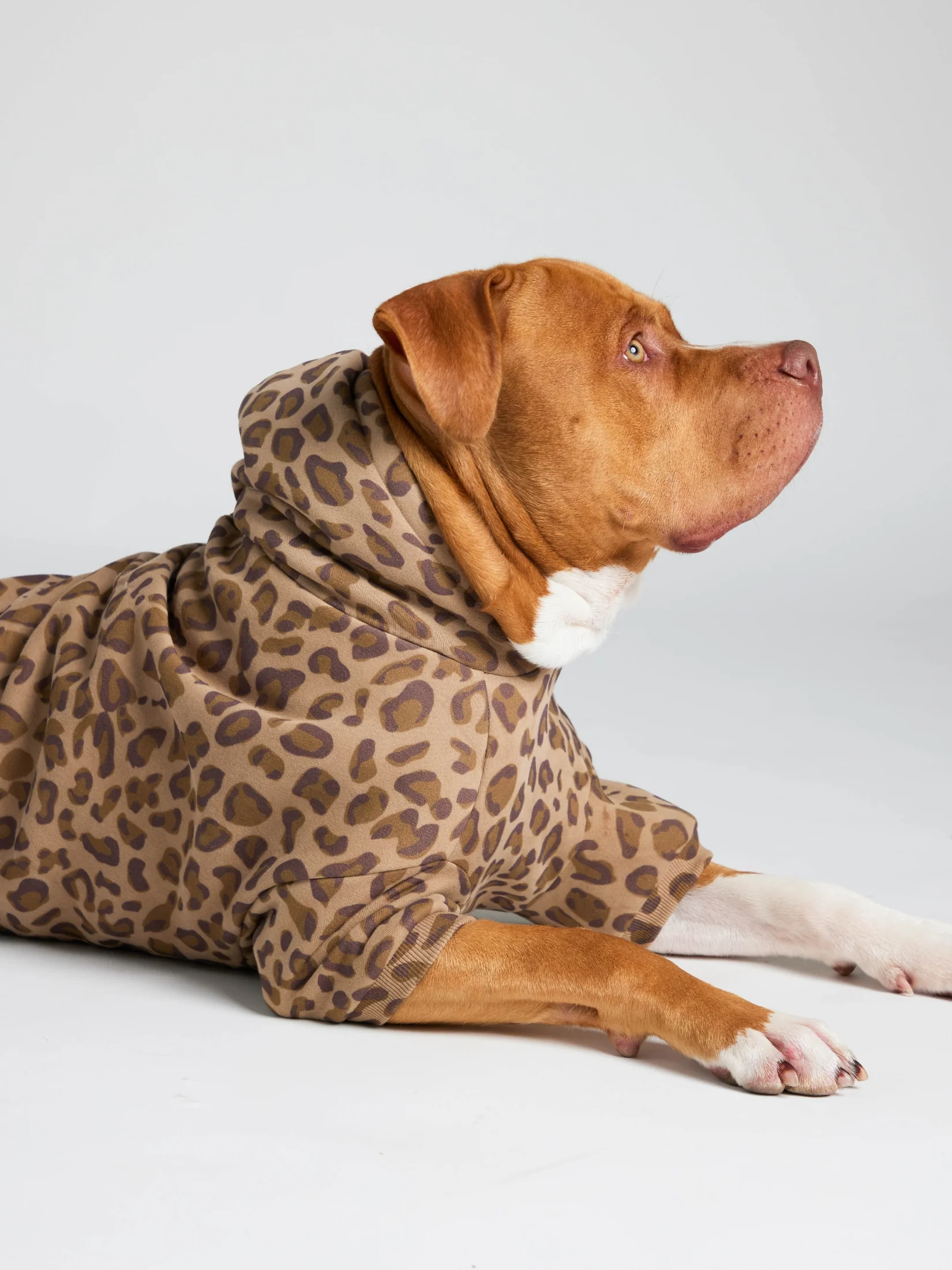 Minimalist Paw Hoodie 27 Minimalist Paw Hoodie