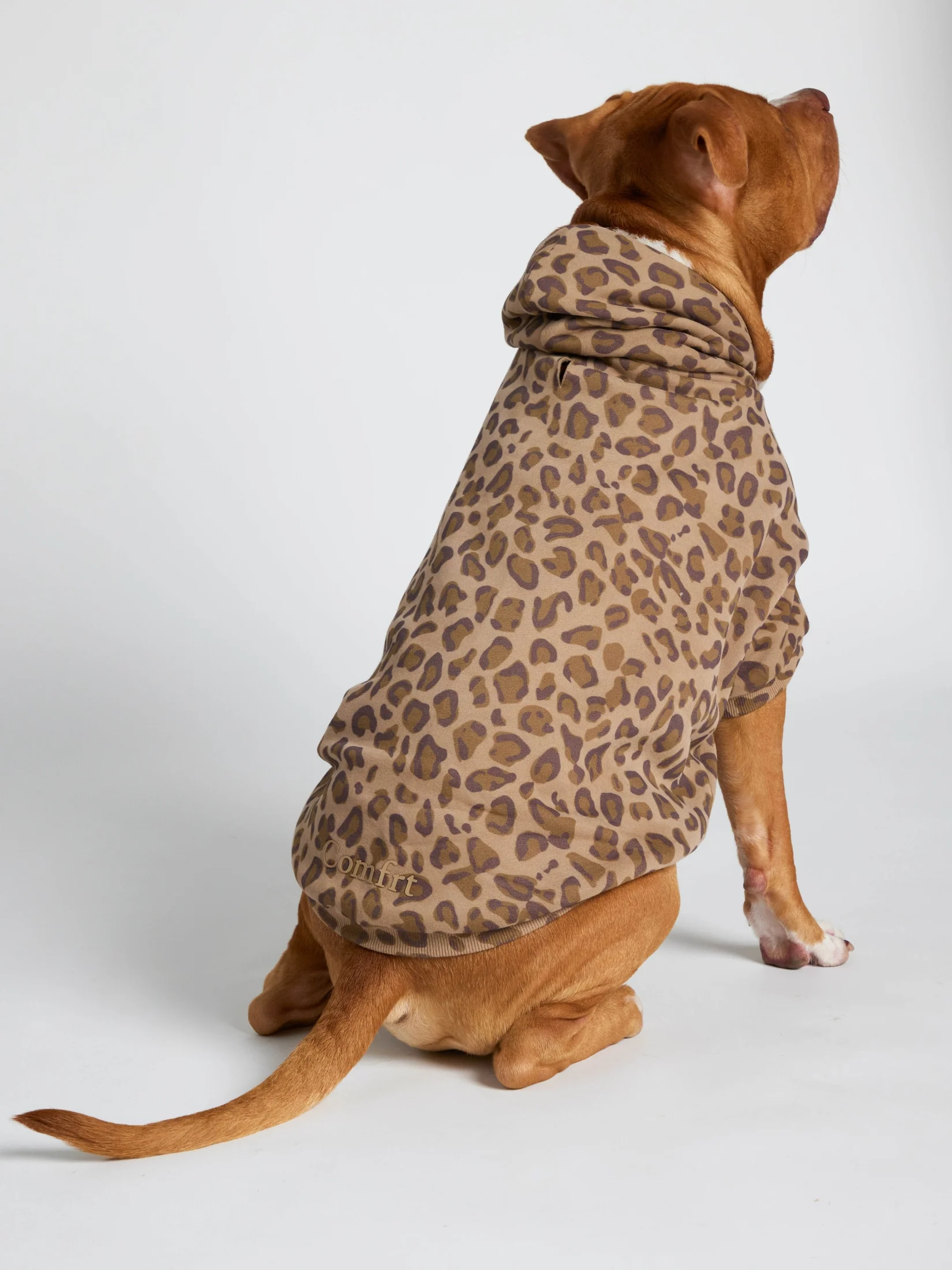 Minimalist Paw Hoodie 28 Minimalist Paw Hoodie