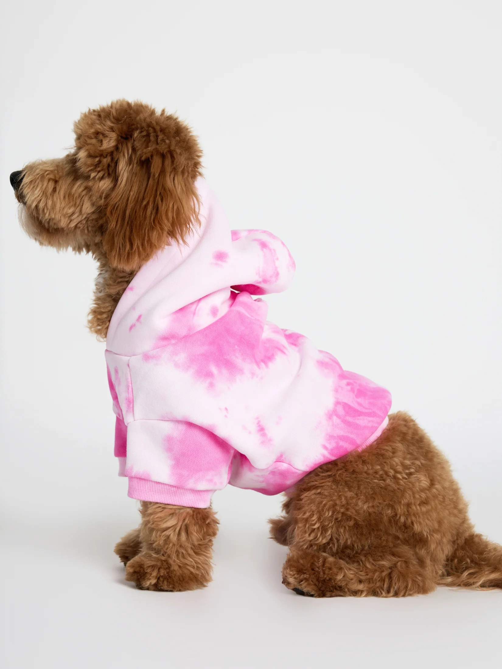 Minimalist Paw Hoodie 3 Minimalist Paw Hoodie