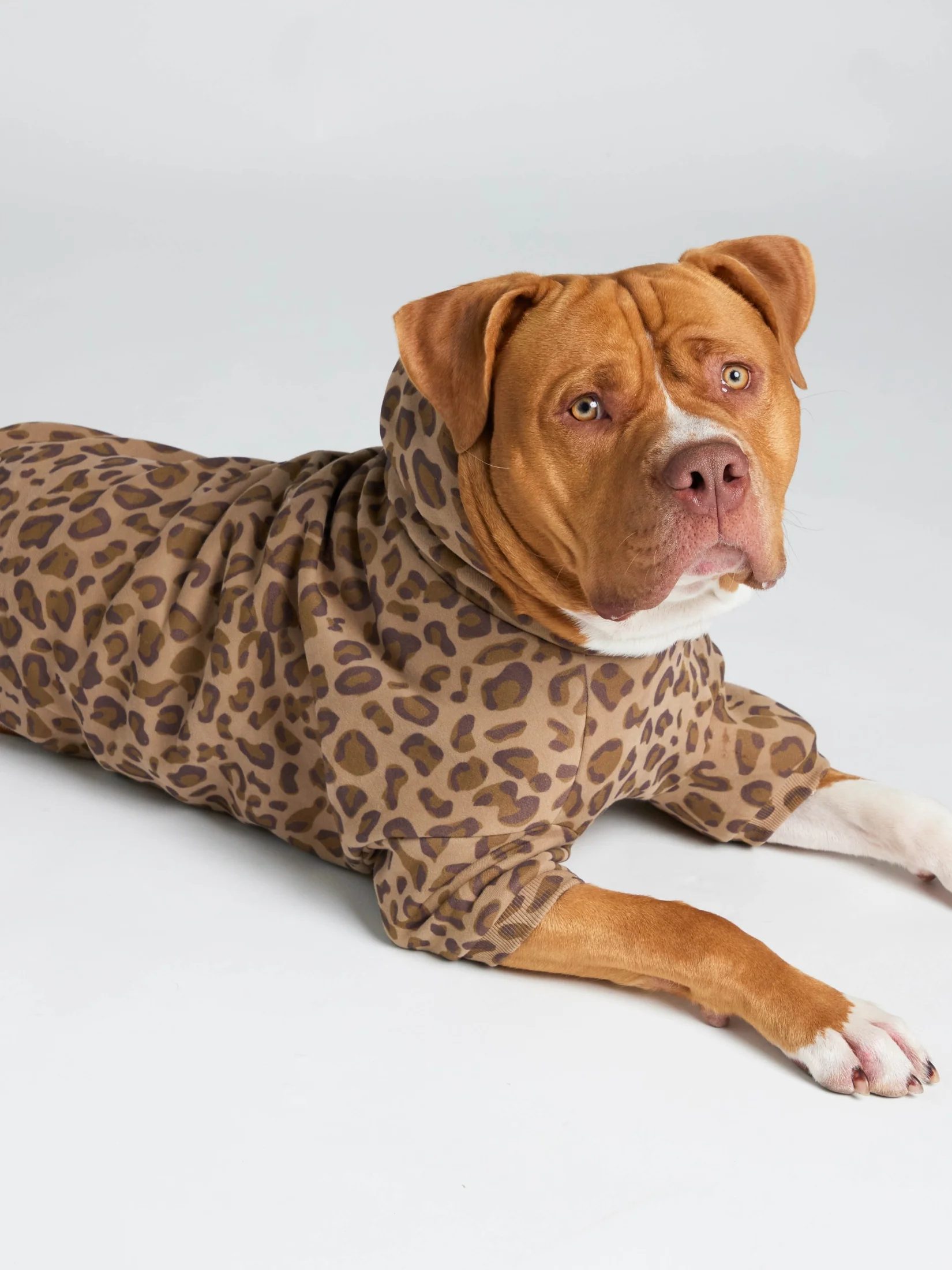 Minimalist Paw Hoodie 30 Minimalist Paw Hoodie