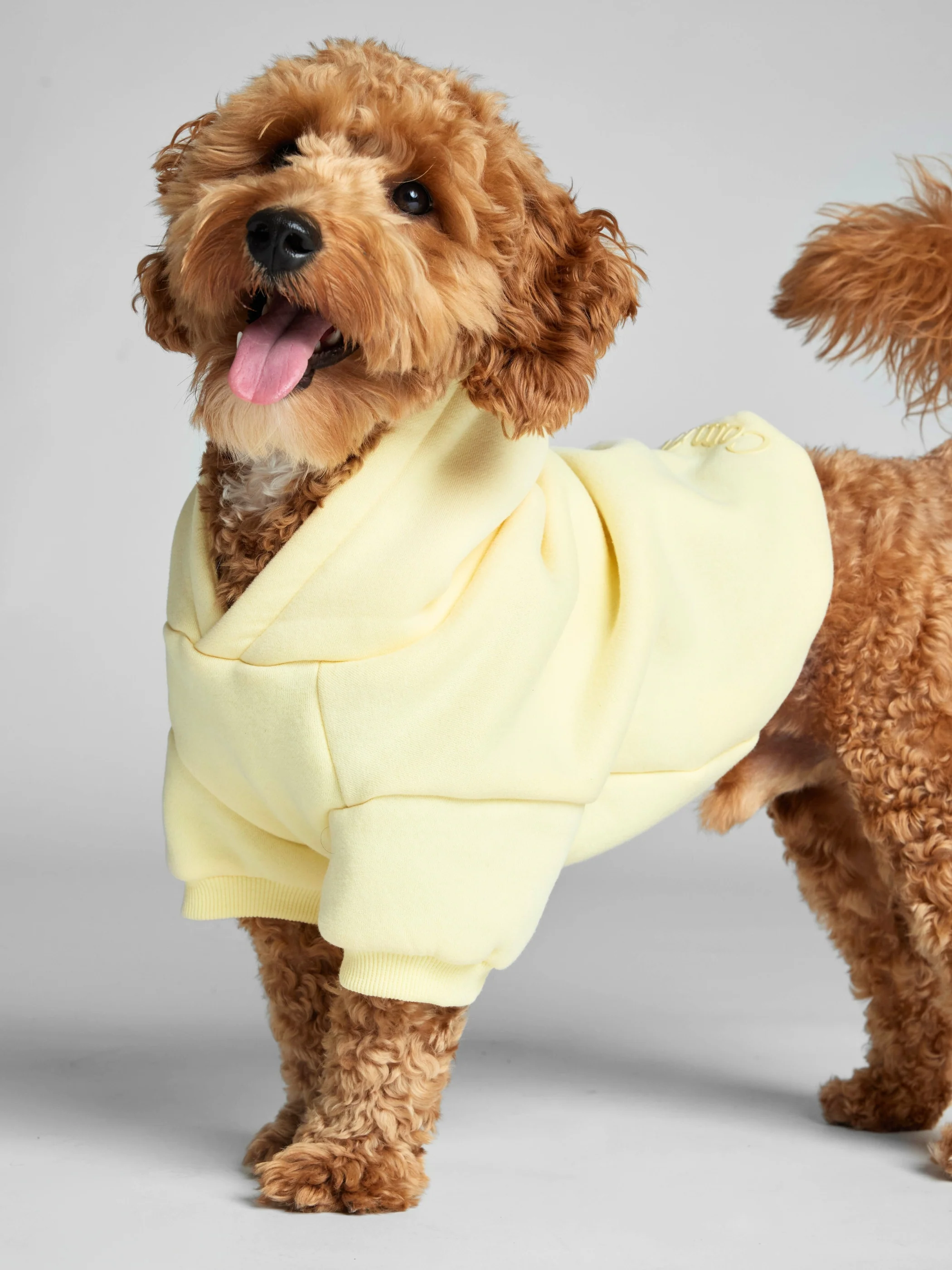 Minimalist Paw Hoodie 31 Minimalist Paw Hoodie