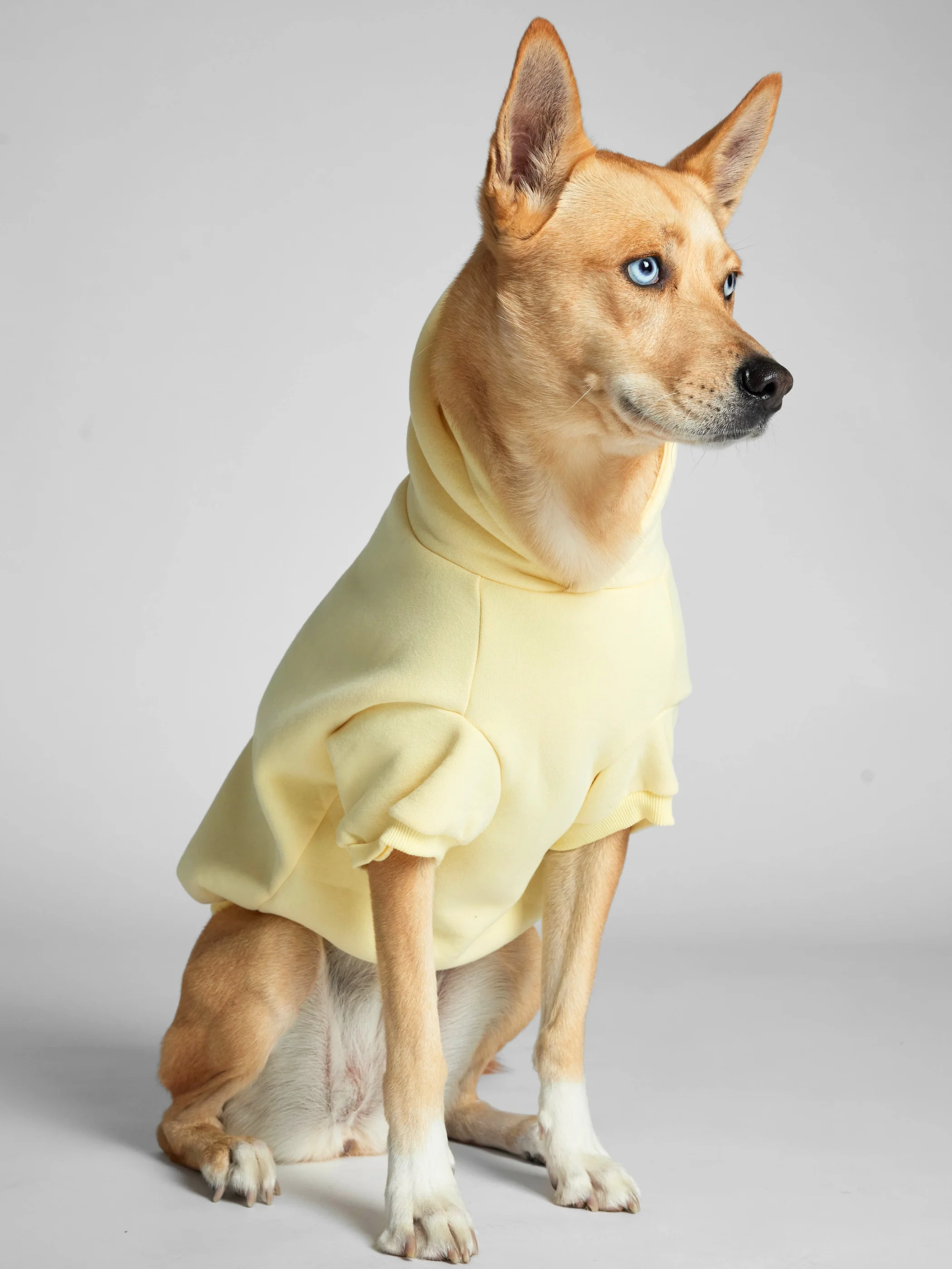 Minimalist Paw Hoodie 32 Minimalist Paw Hoodie
