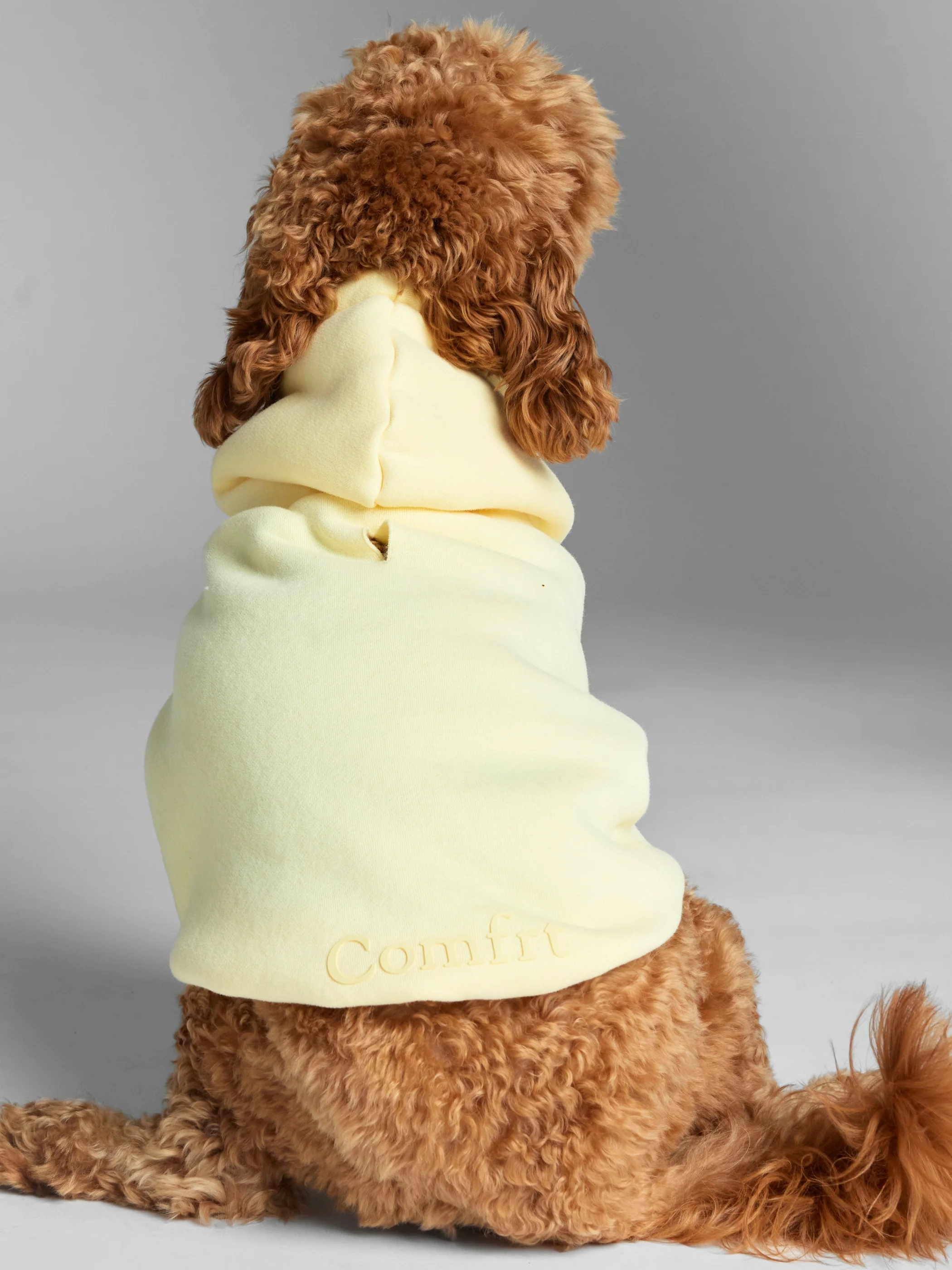 Minimalist Paw Hoodie 33 Minimalist Paw Hoodie