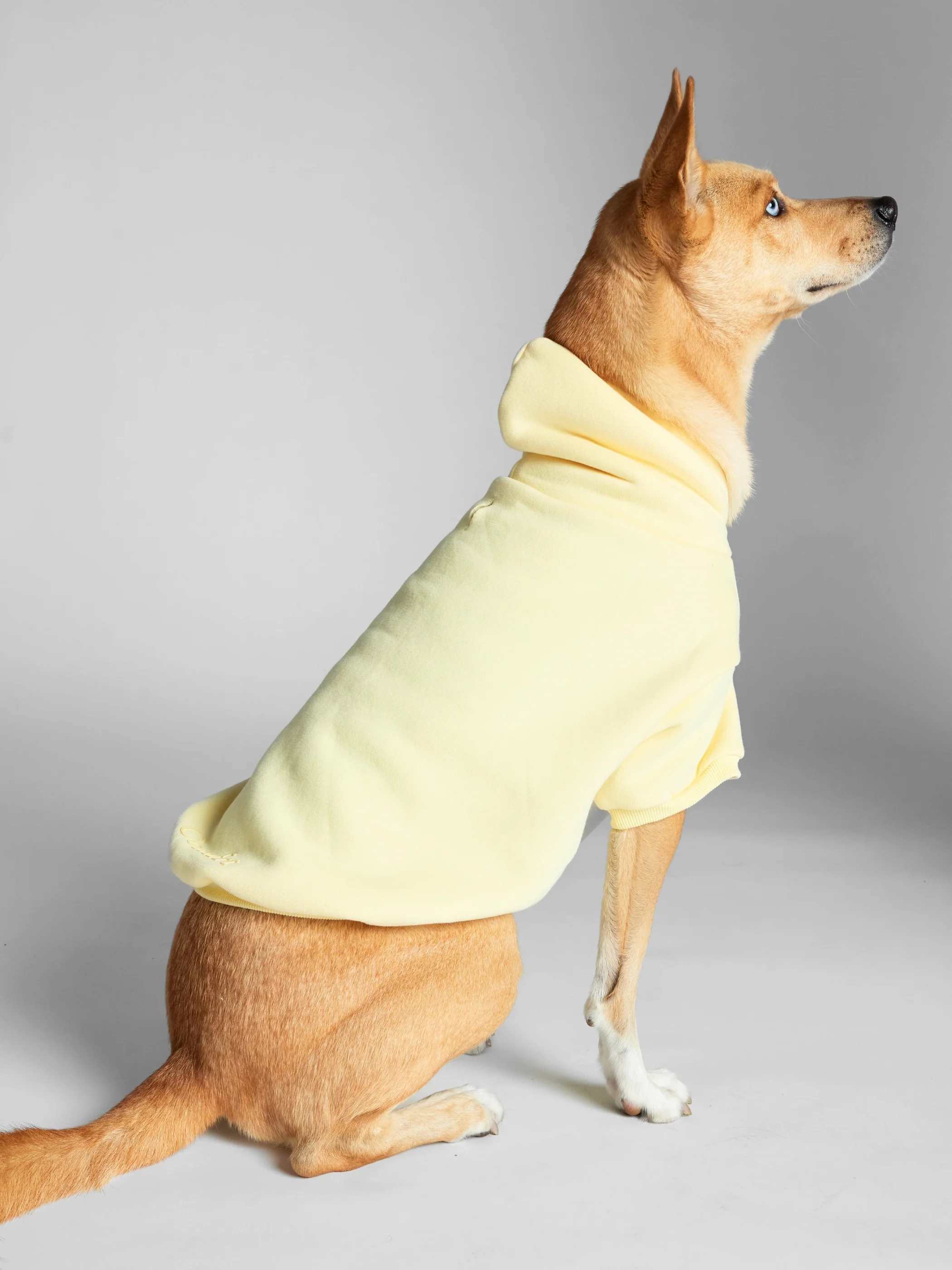 Minimalist Paw Hoodie 34 Minimalist Paw Hoodie