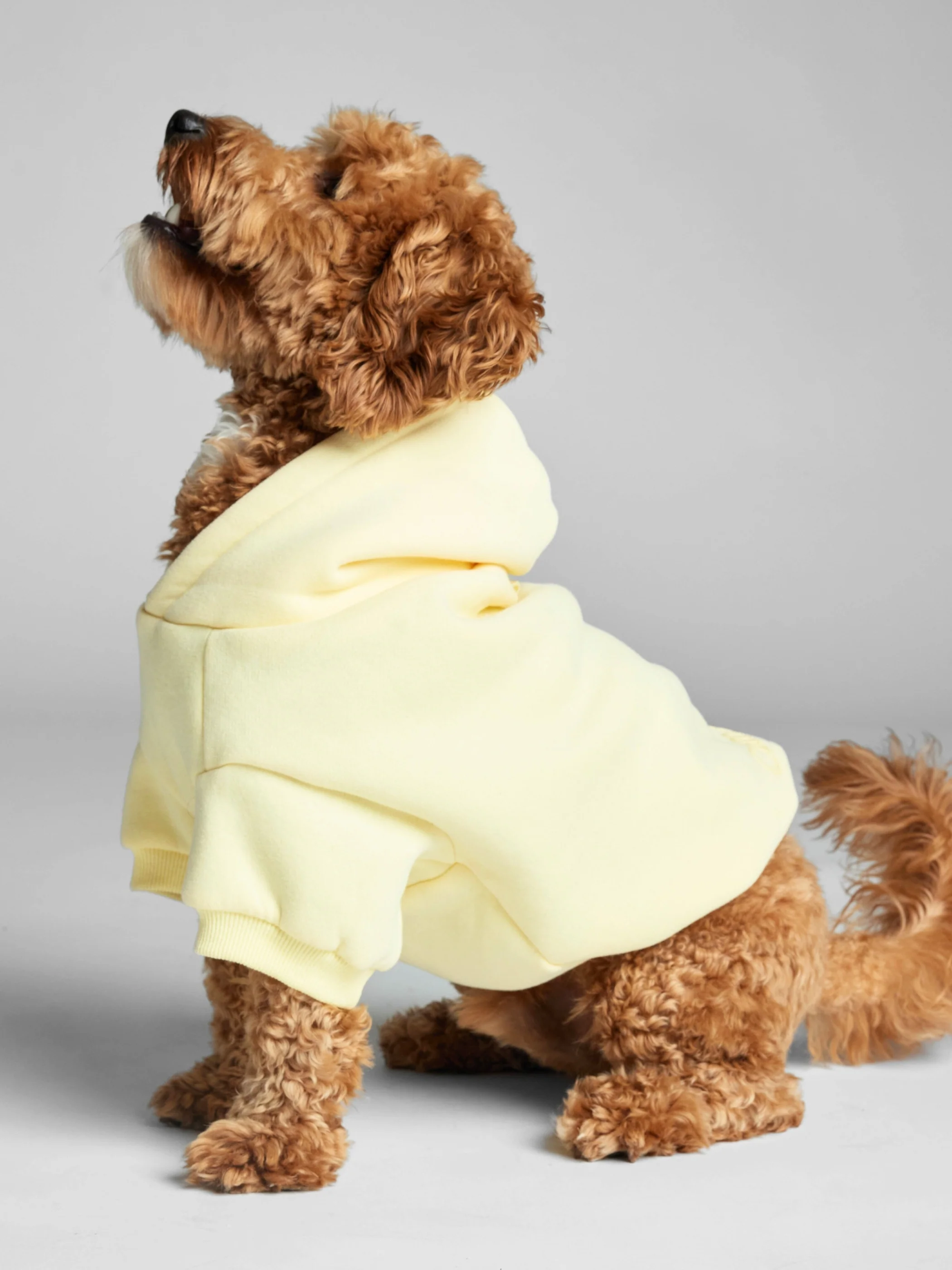 Minimalist Paw Hoodie 35 Minimalist Paw Hoodie
