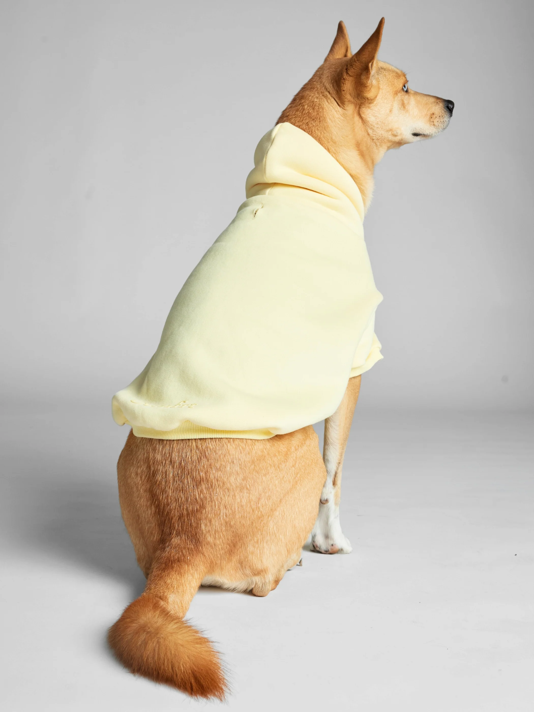 Minimalist Paw Hoodie 36 Minimalist Paw Hoodie