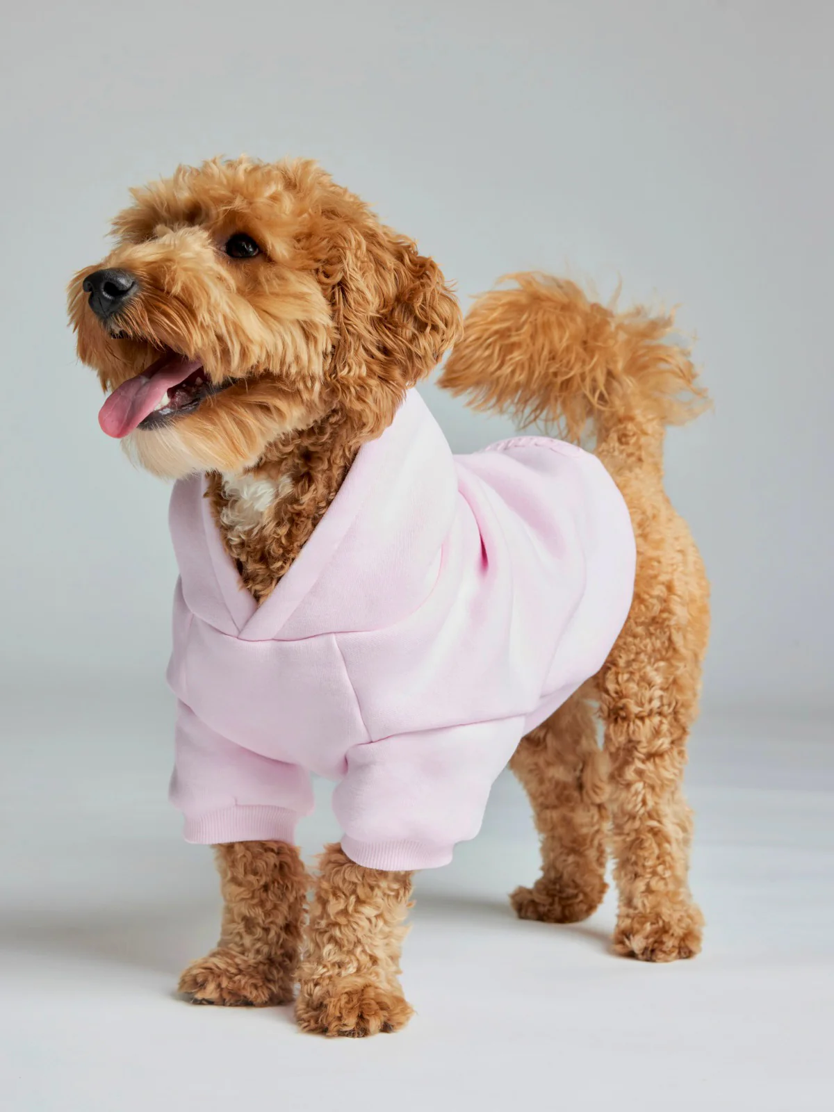 Minimalist Paw Hoodie 37 Minimalist Paw Hoodie