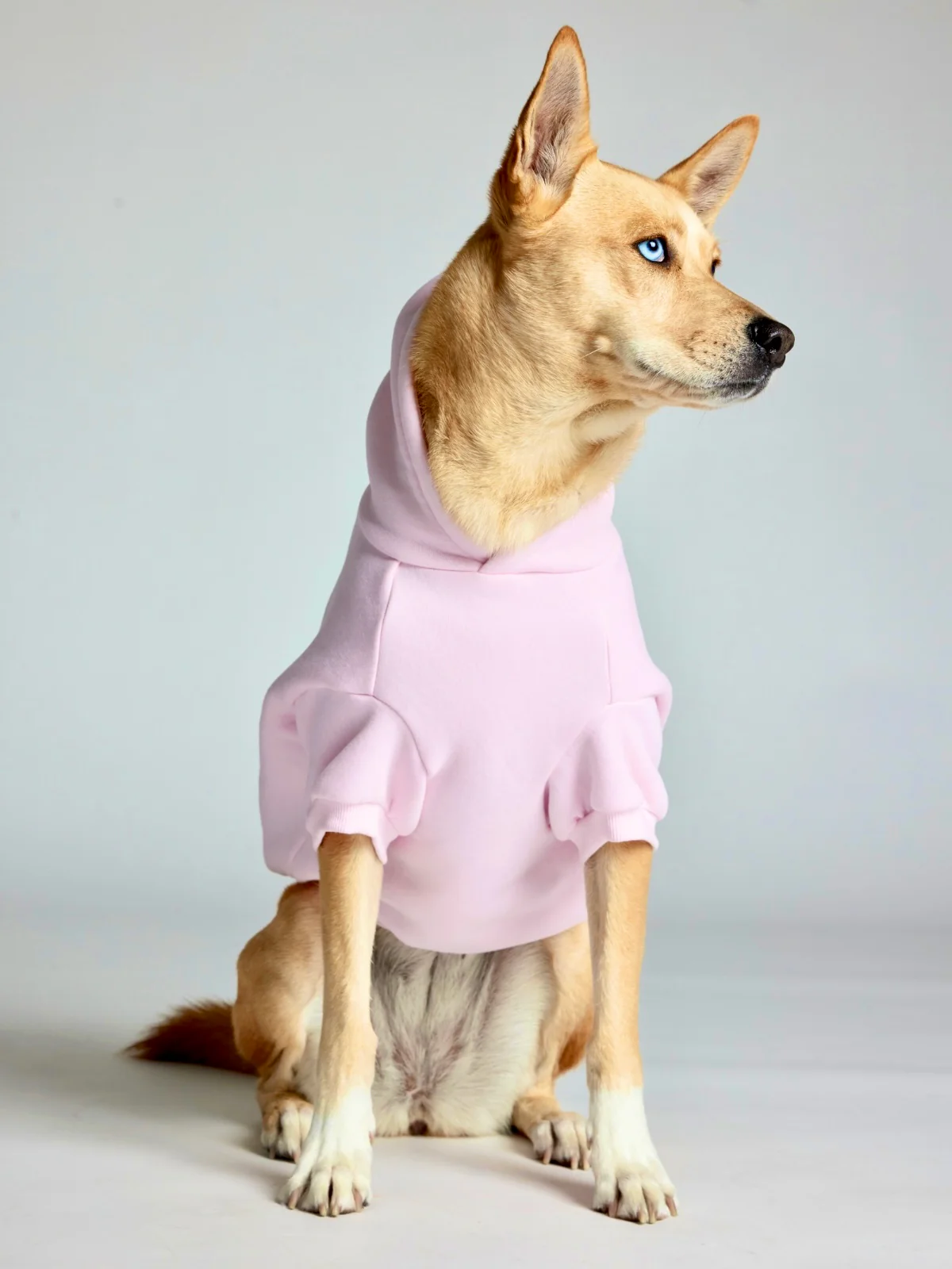 Minimalist Paw Hoodie 38 Minimalist Paw Hoodie