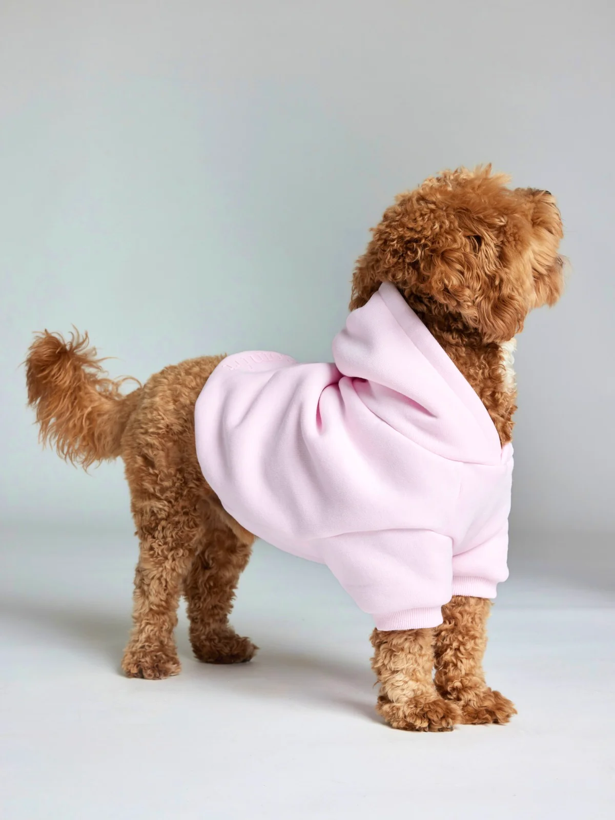 Minimalist Paw Hoodie 39 Minimalist Paw Hoodie
