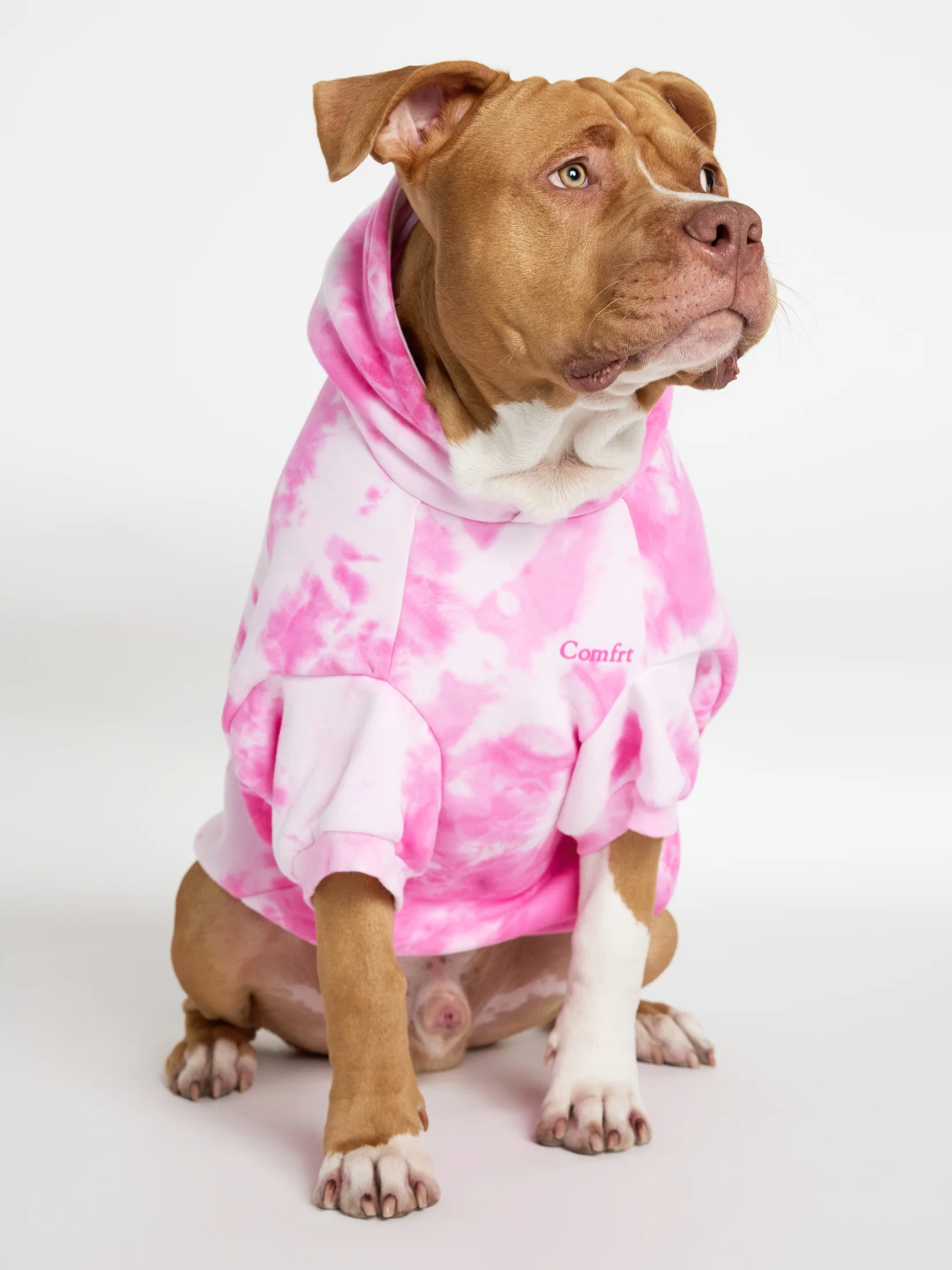 Minimalist Paw Hoodie 4 Minimalist Paw Hoodie