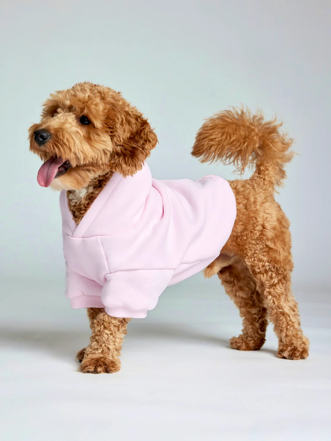 Minimalist Paw Hoodie 41 Minimalist Paw Hoodie