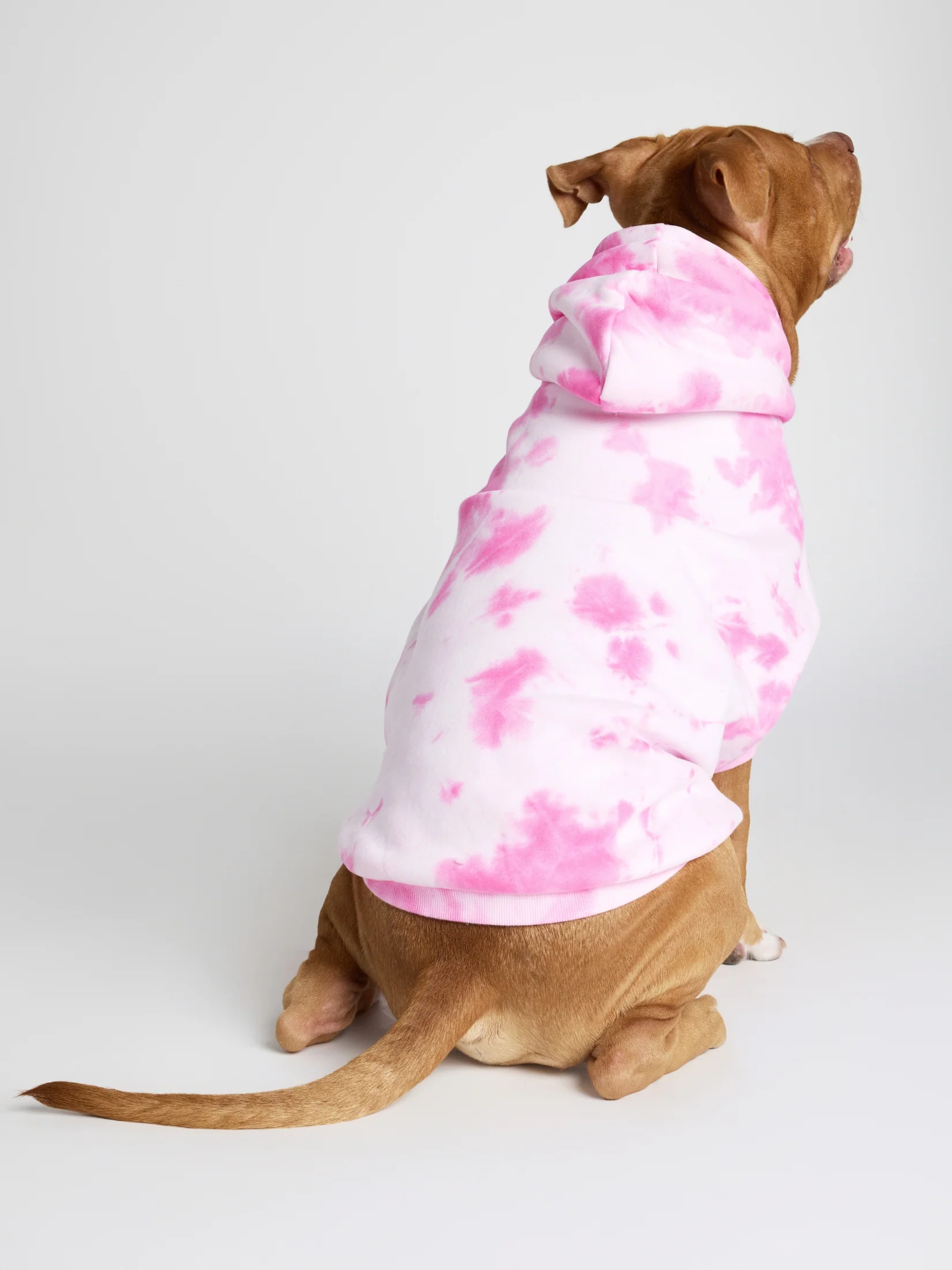 Minimalist Paw Hoodie 6 Minimalist Paw Hoodie