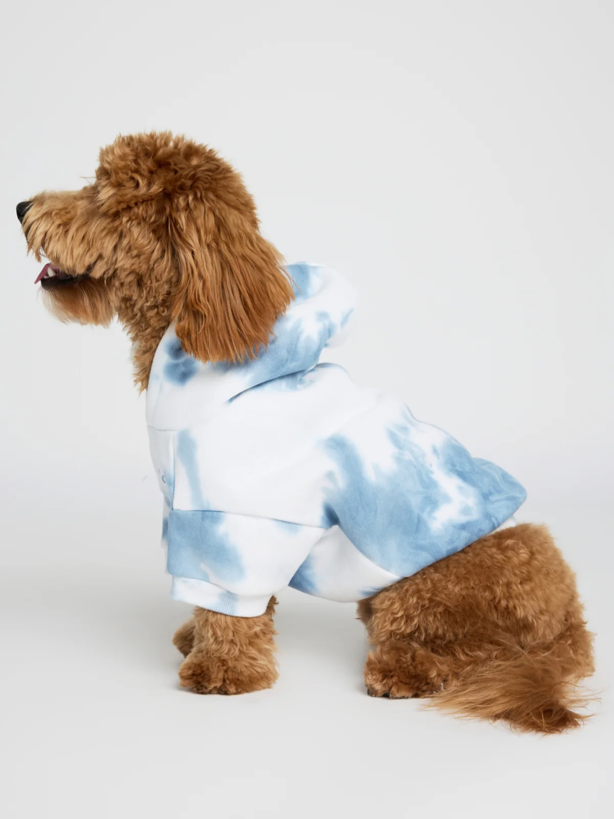 Minimalist Paw Hoodie 8 Minimalist Paw Hoodie