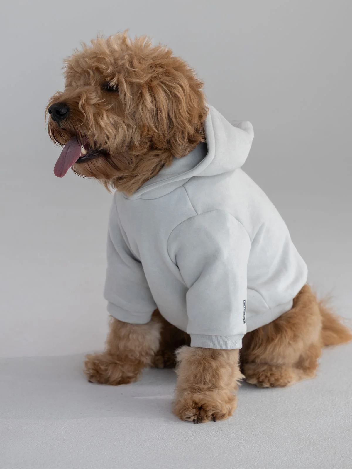 Standard Paw Hoodie
