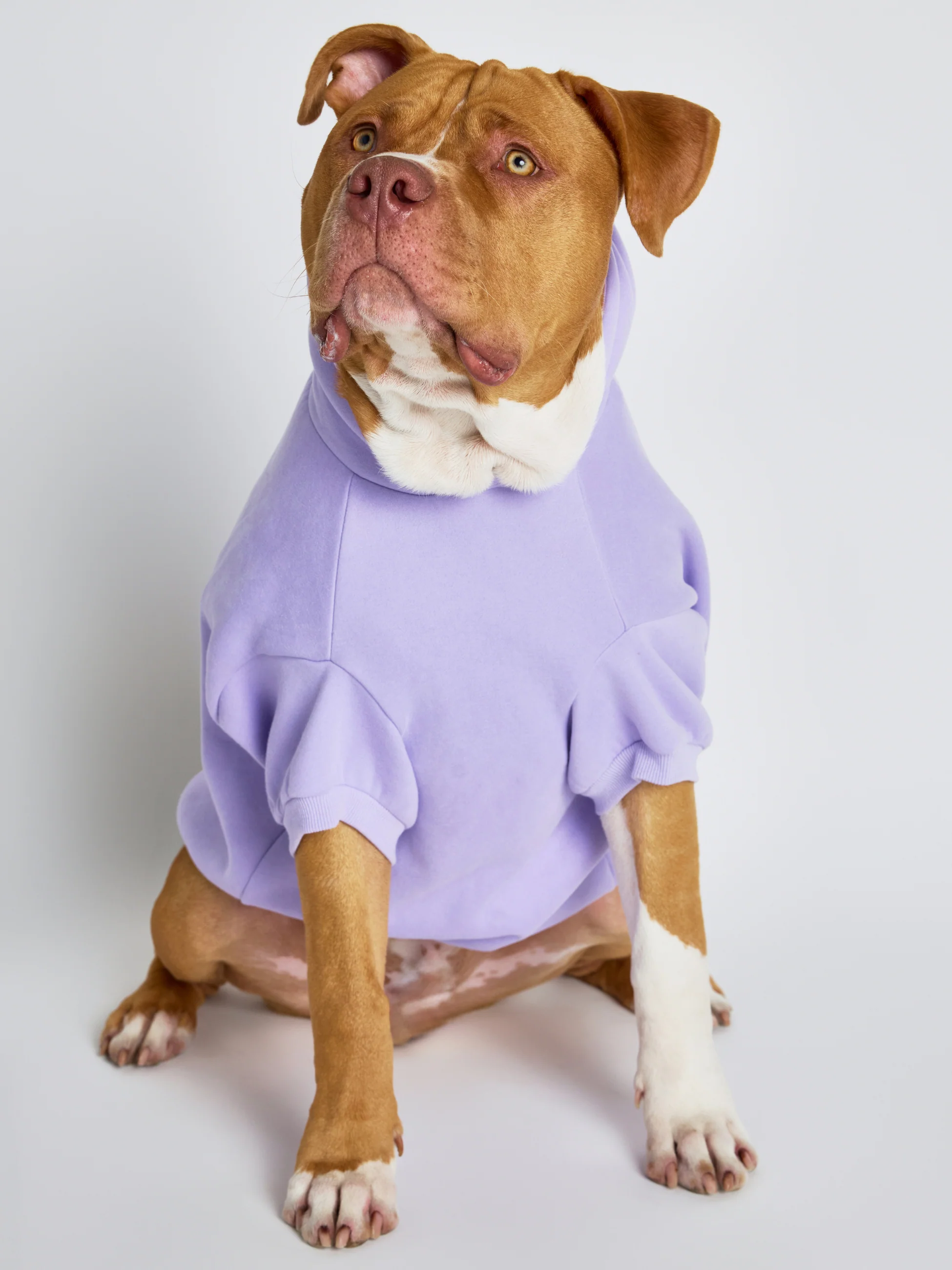Pastel Paw Hoodie