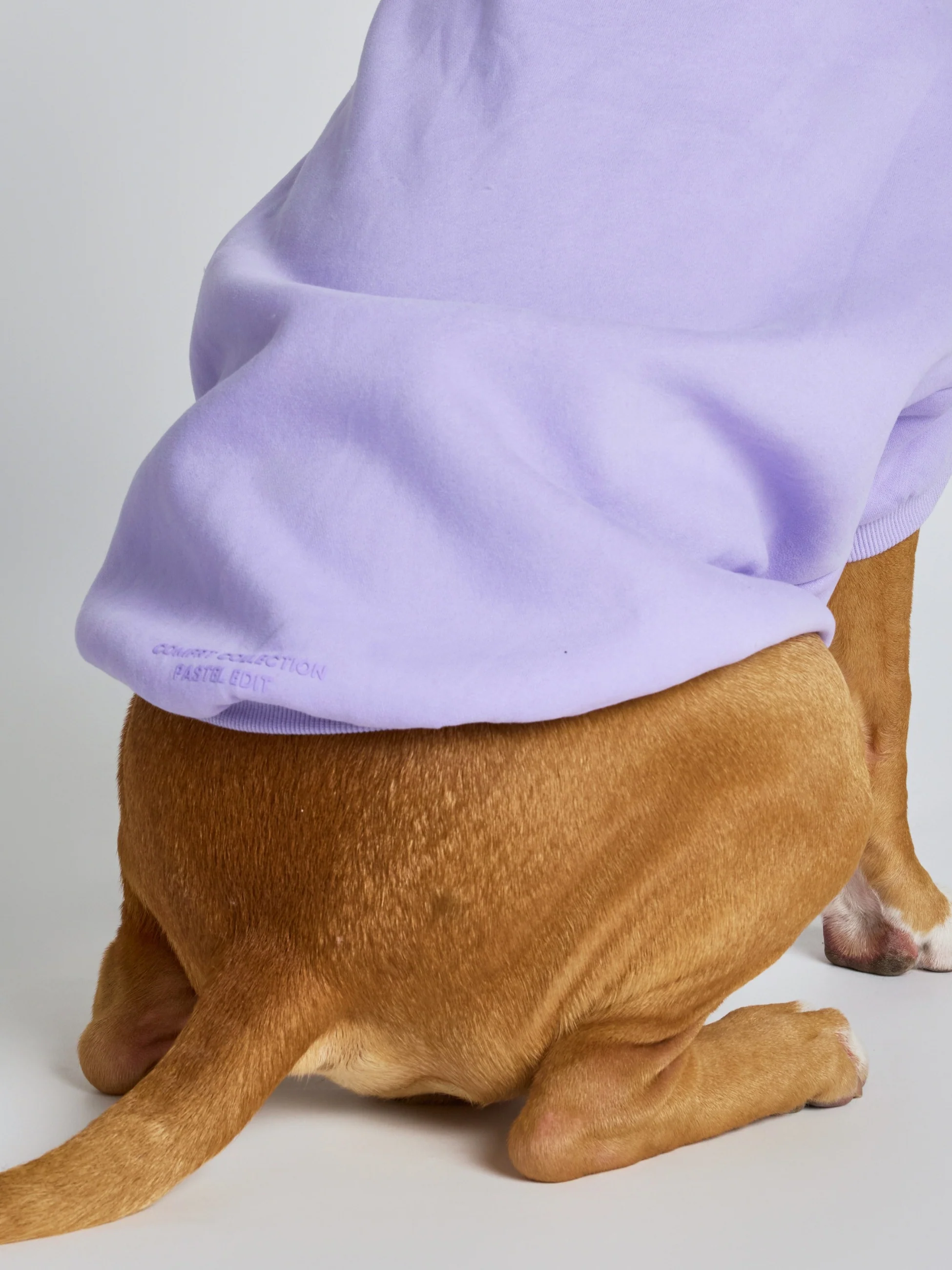 Pastel Paw Hoodie