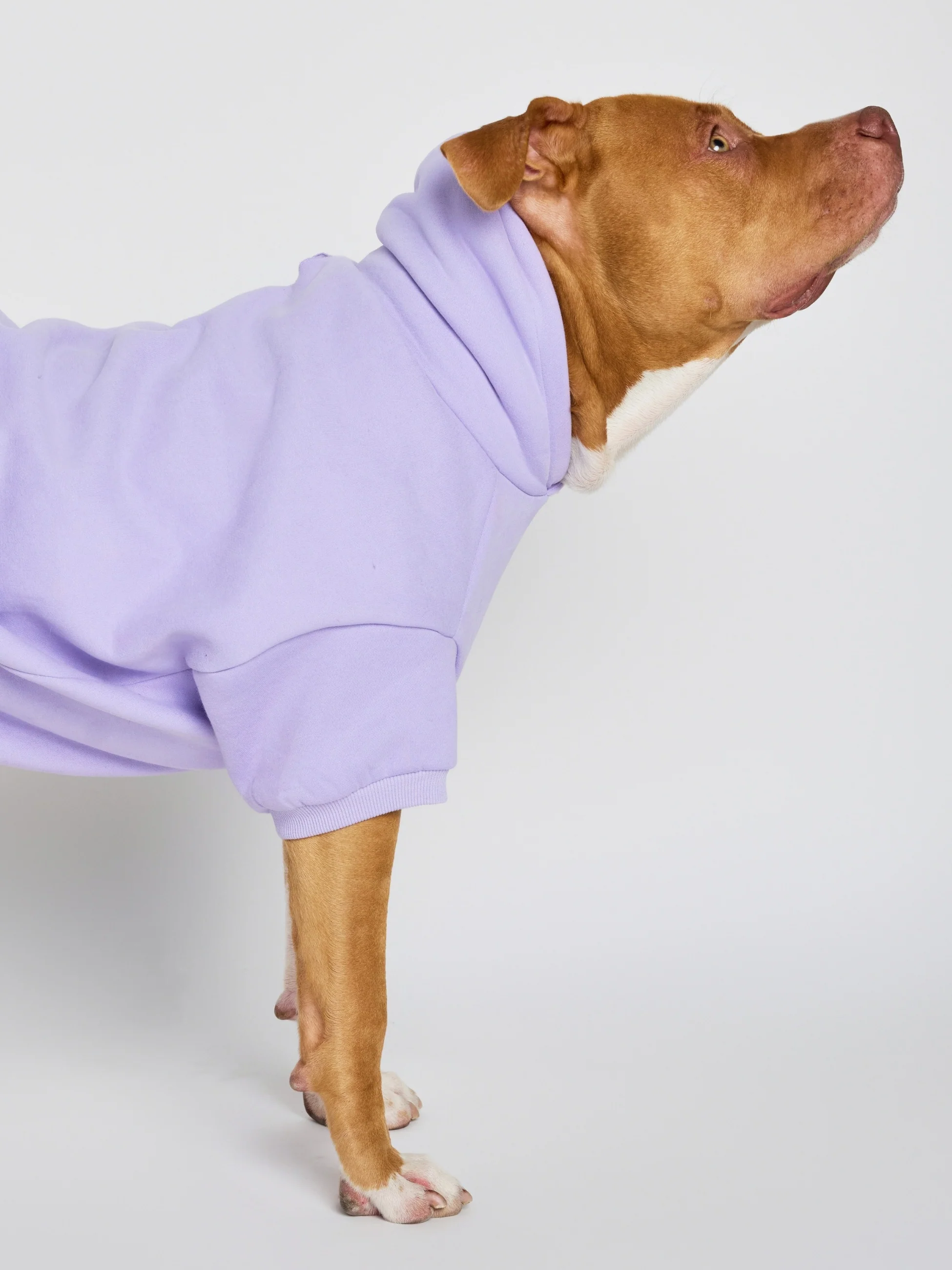 Pastel Paw Hoodie