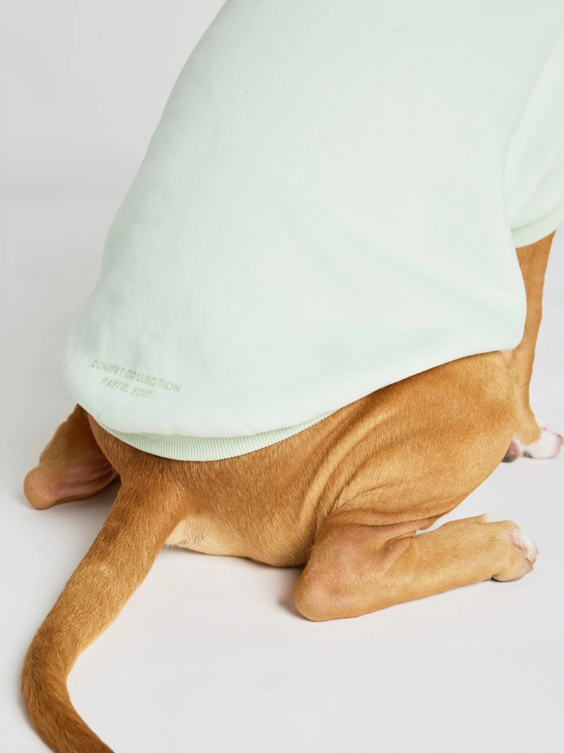 Pastel Paw Hoodie
