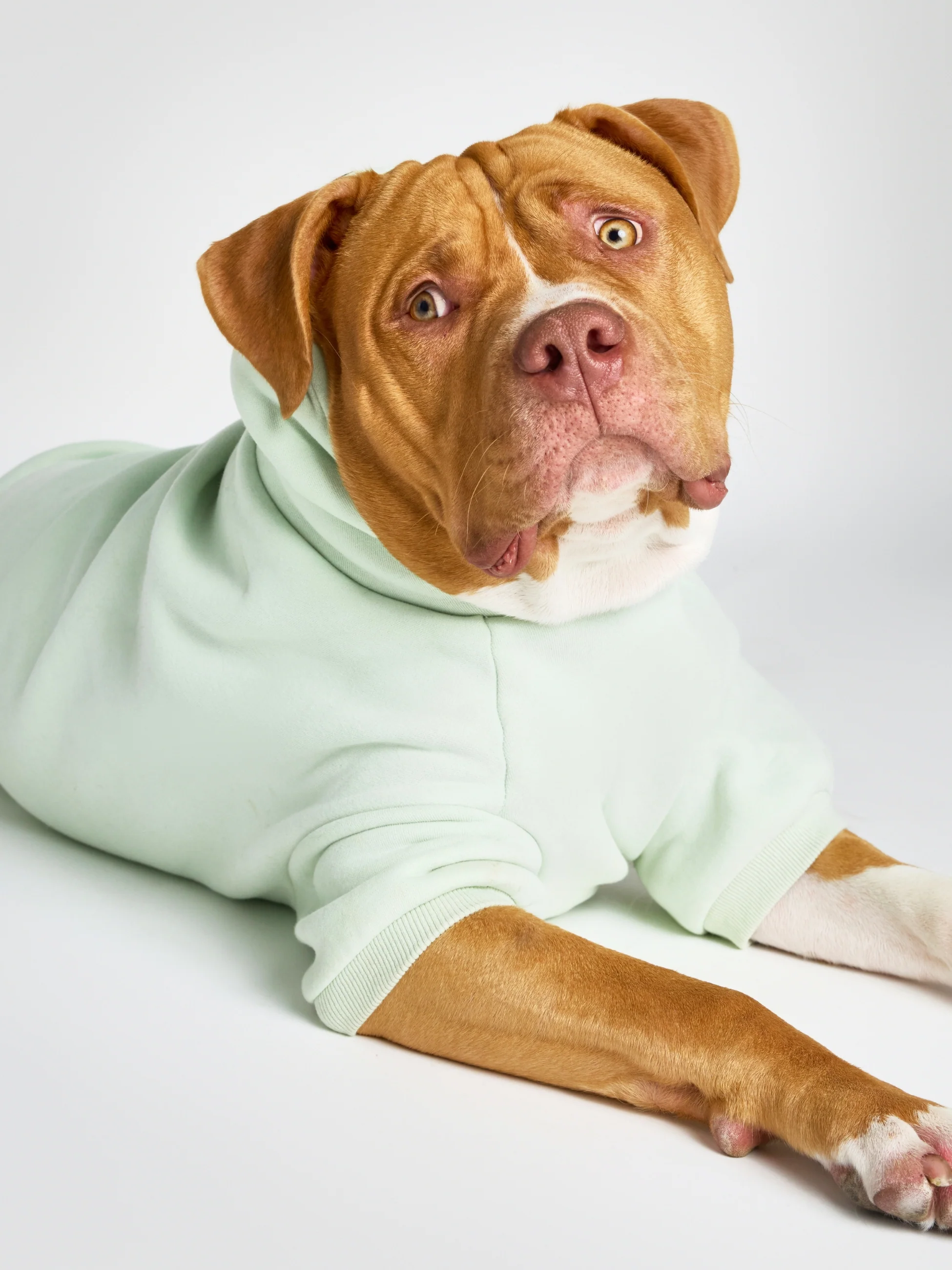 Pastel Paw Hoodie
