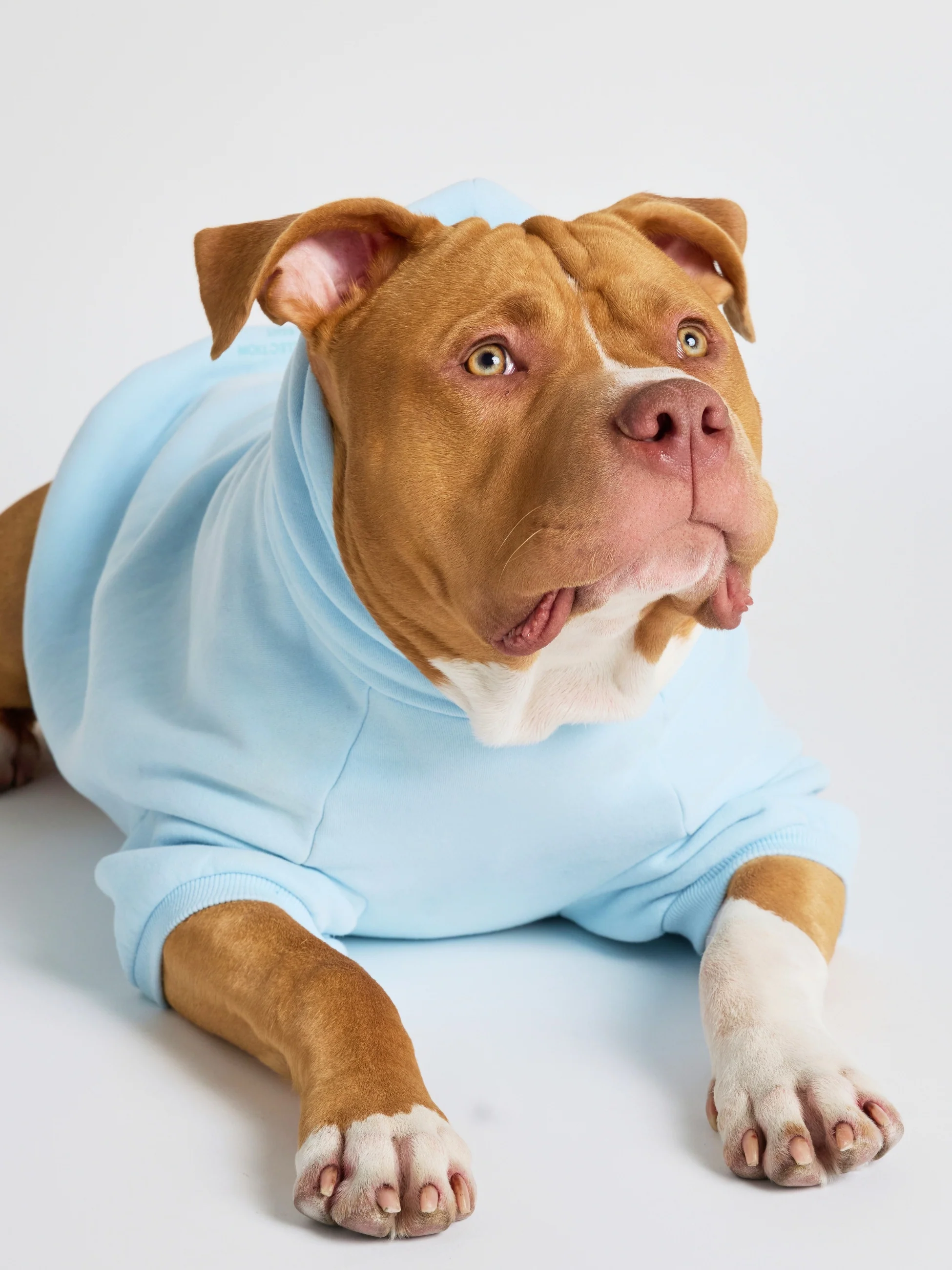 Pastel Paw Hoodie