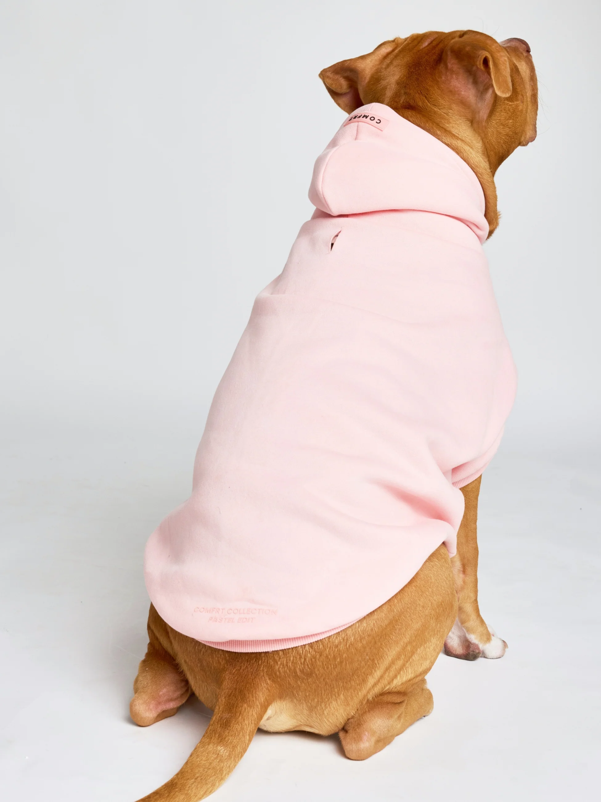 Pastel Paw Hoodie