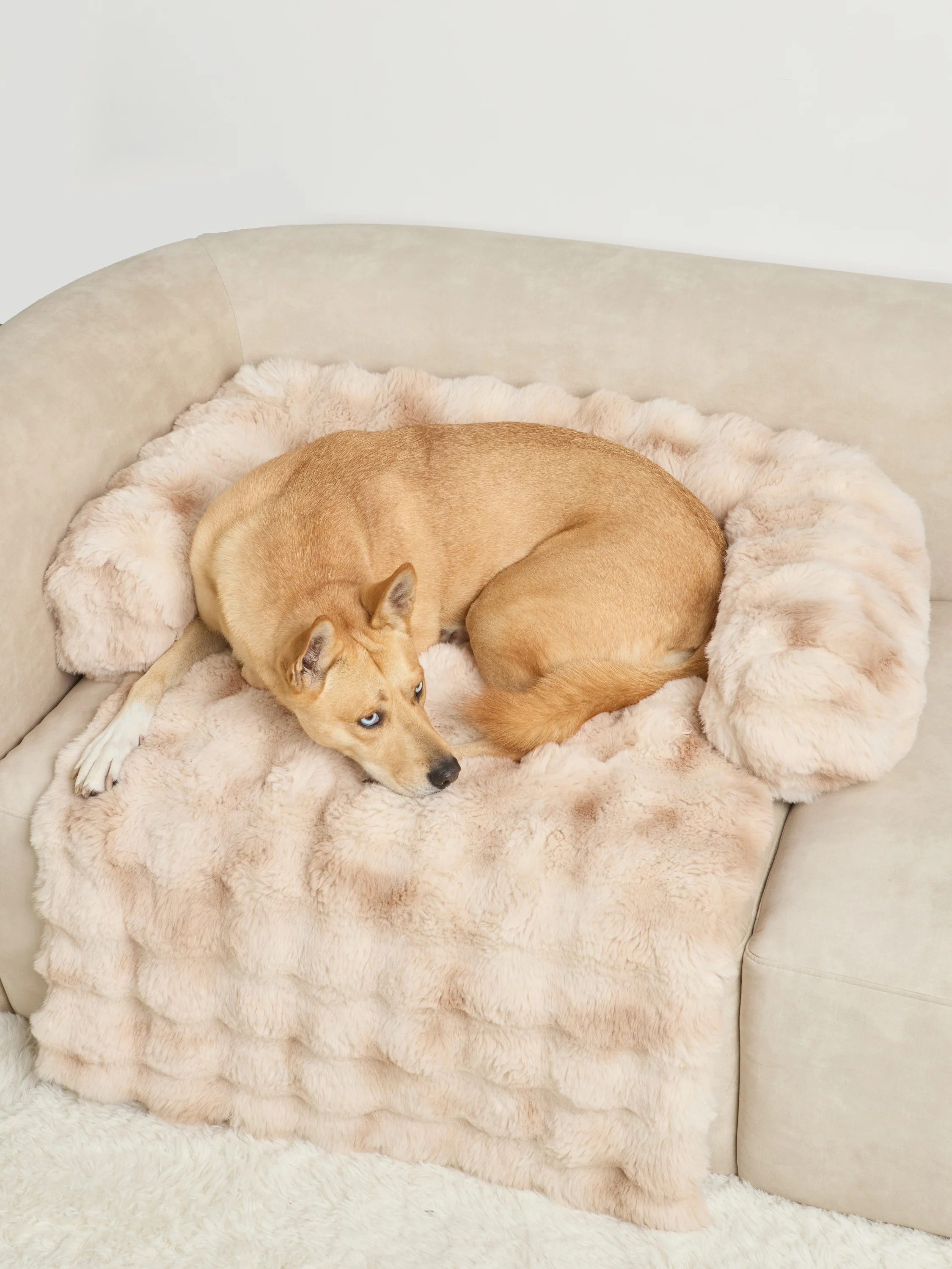 Dream Cloud Pet Sofa Bed