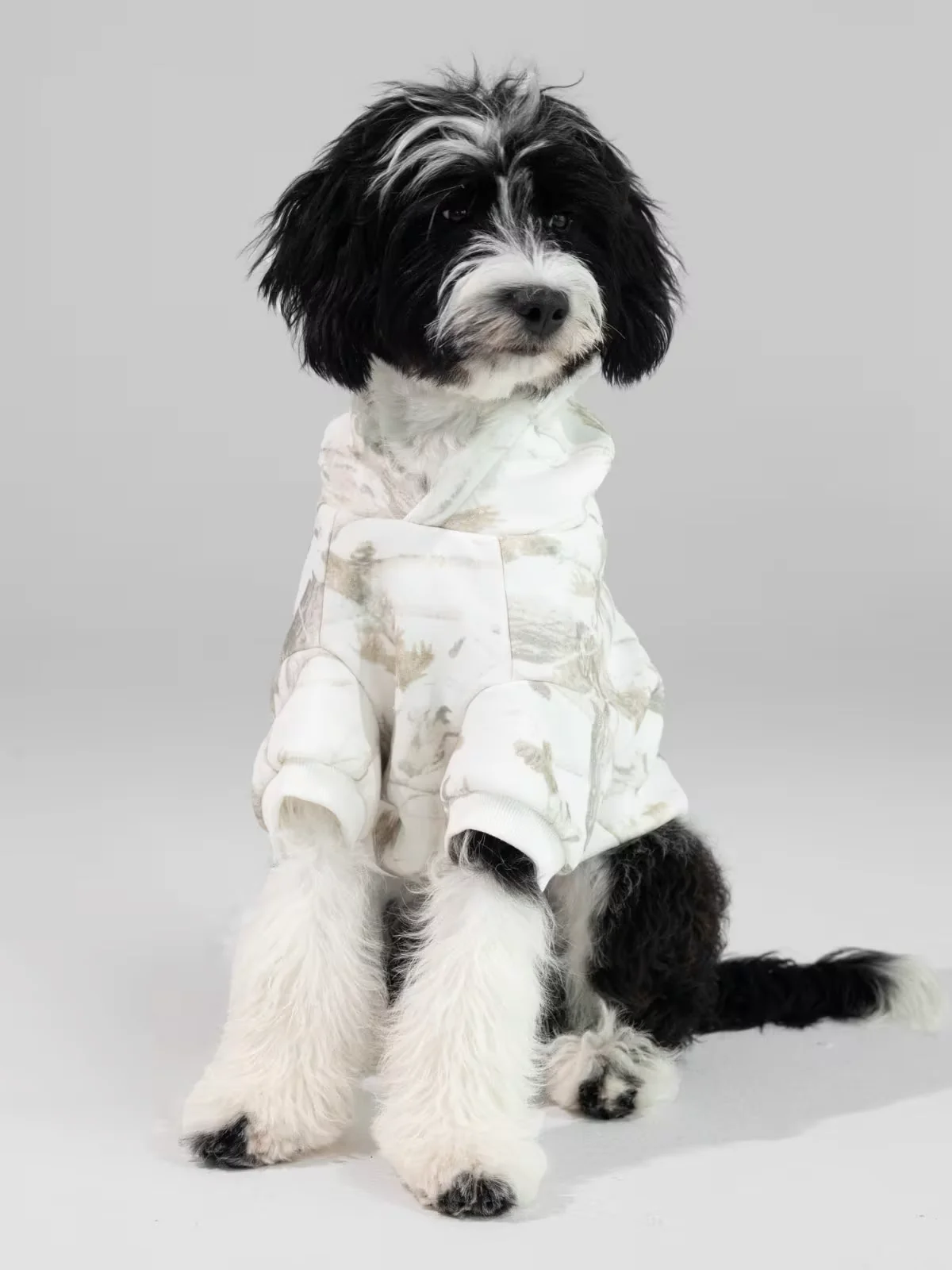 Adult + Paw Camo Set 5 Adult + Paw Camo Set