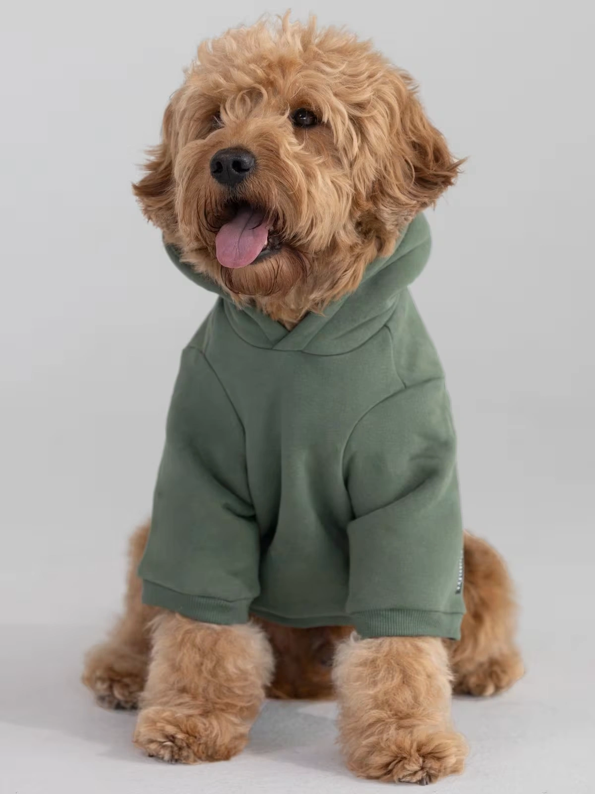 Paws Best-Sellers Bundle 2 Paws Best-Sellers Bundle