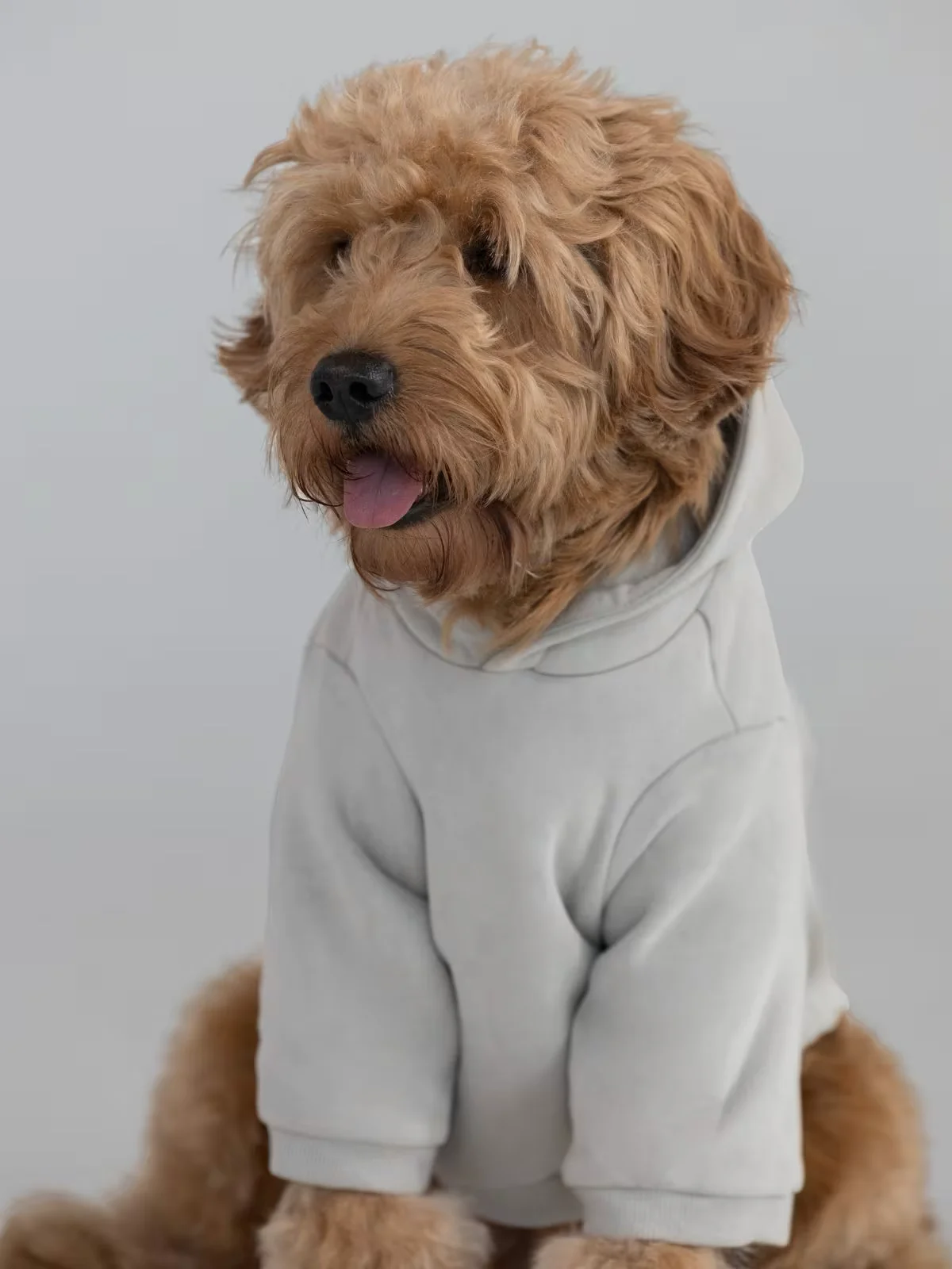 Paws Best-Sellers Bundle 4 Paws Best-Sellers Bundle