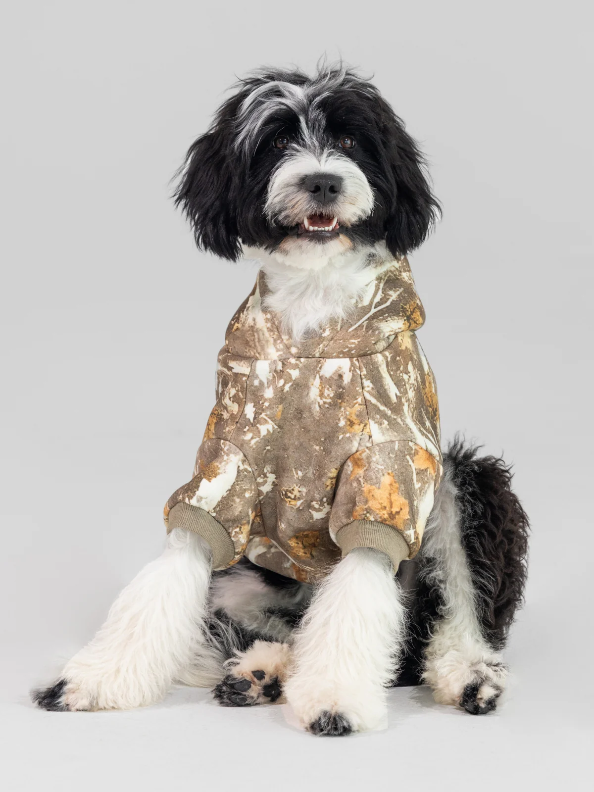 Camo Paw Hoodie - Pre-Order