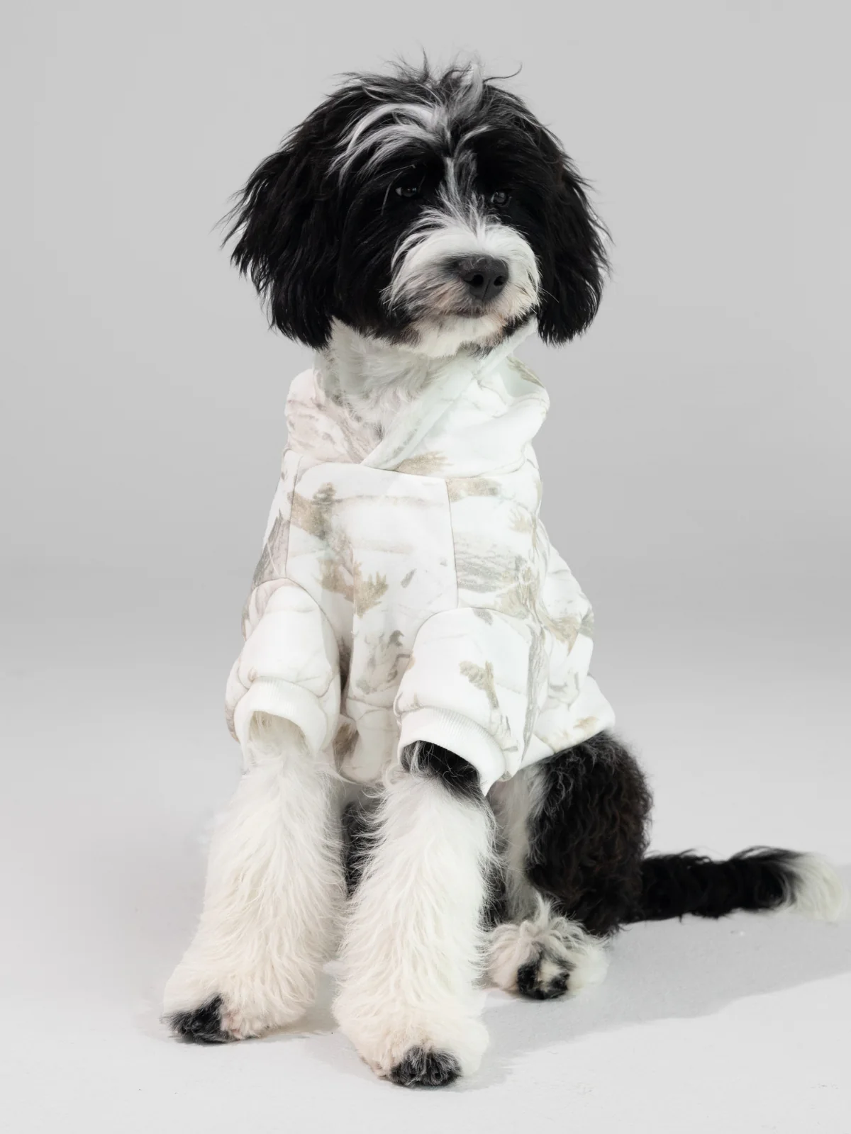 Camo Paw Hoodie - Pre-Order