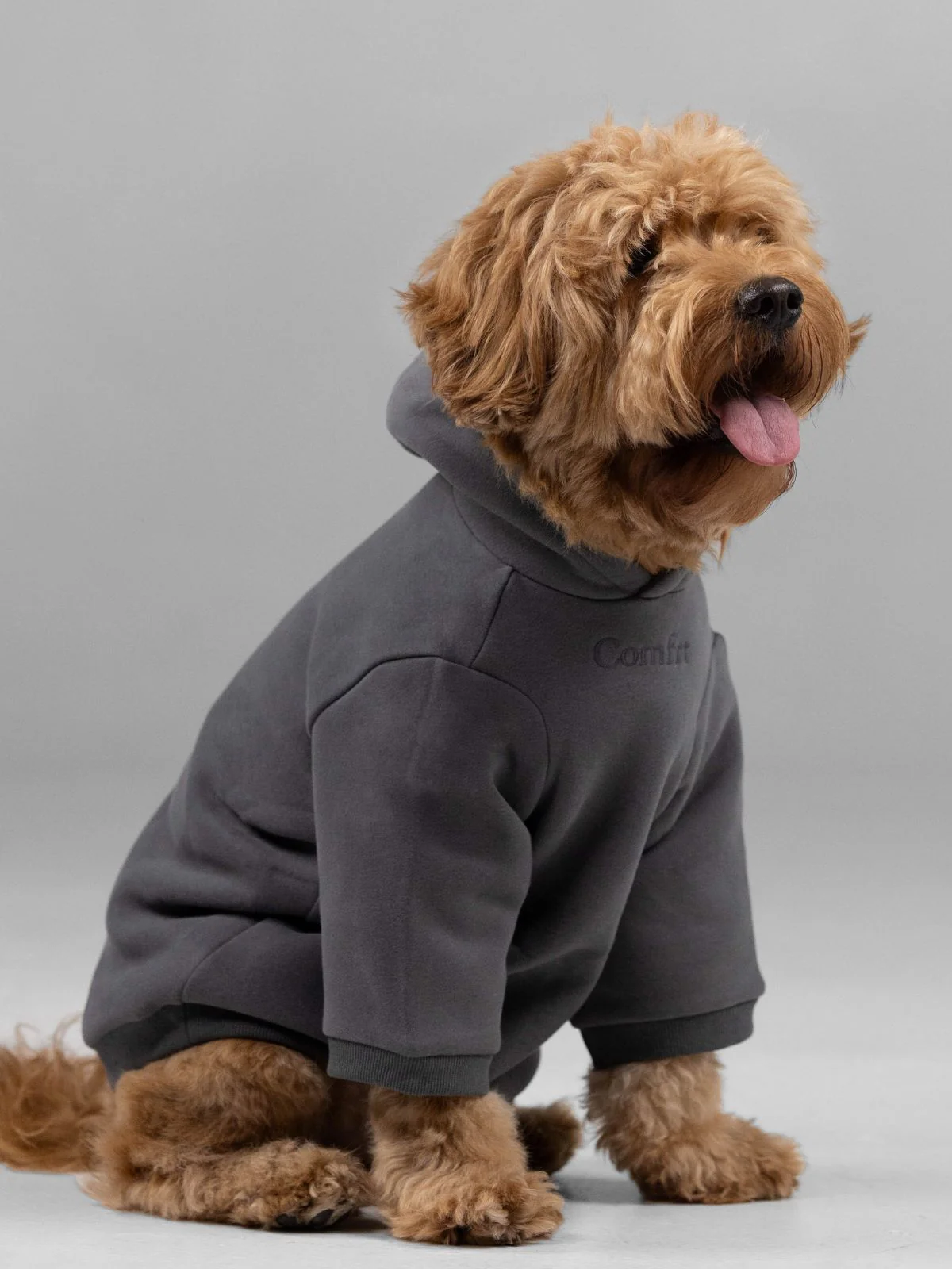 Signature Paw Hoodie -Pre Order