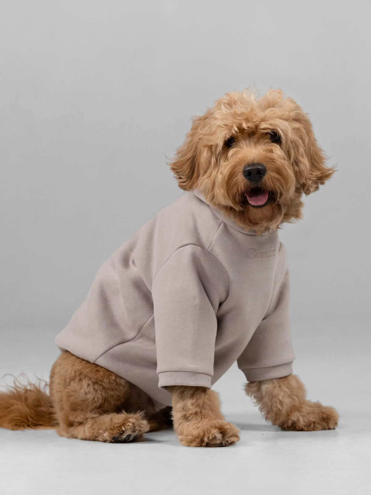 Signature Paw Hoodie -Pre Order