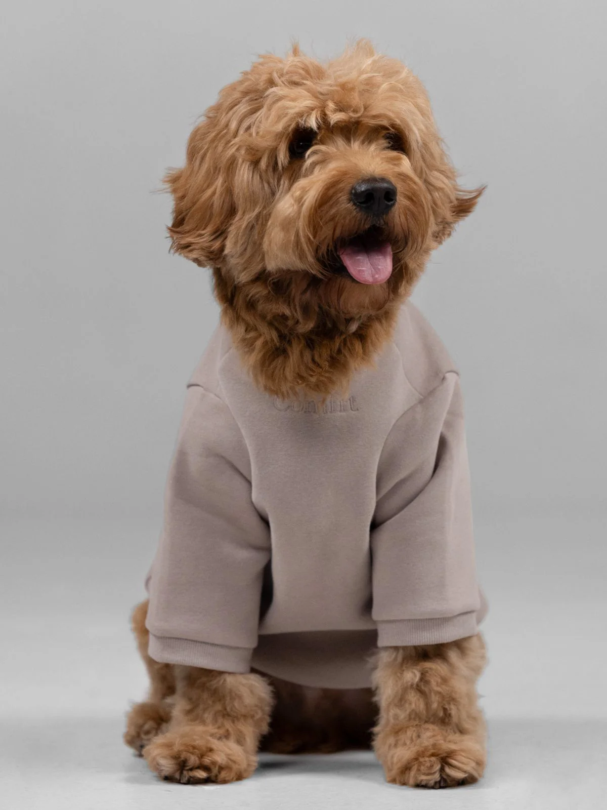 Signature Paw Hoodie -Pre Order