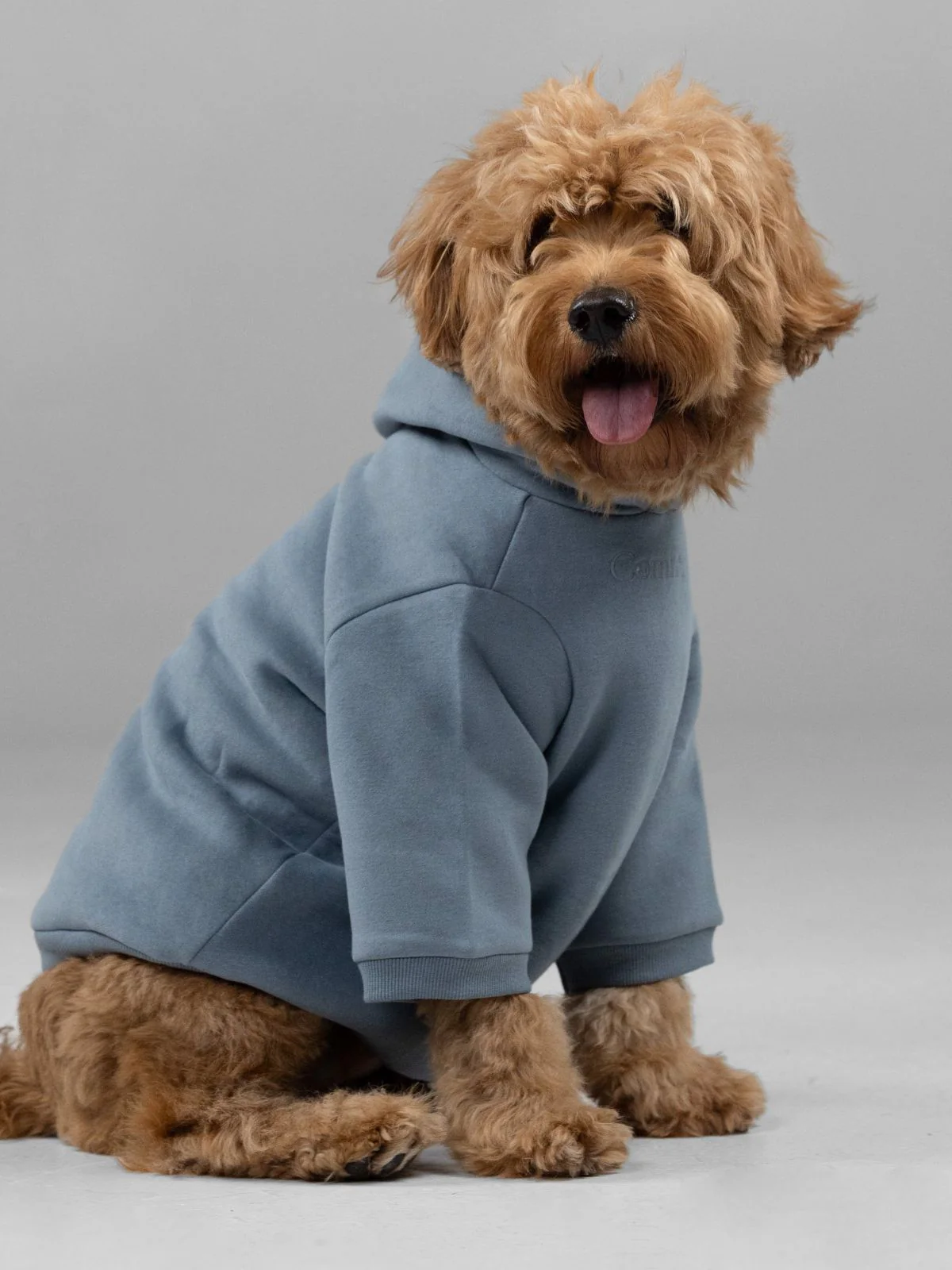 Signature Paw Hoodie -Pre Order