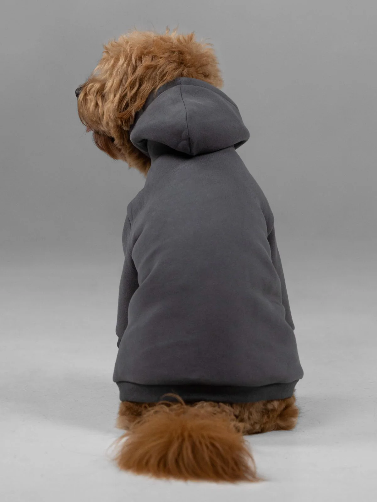 Signature Paw Hoodie -Pre Order
