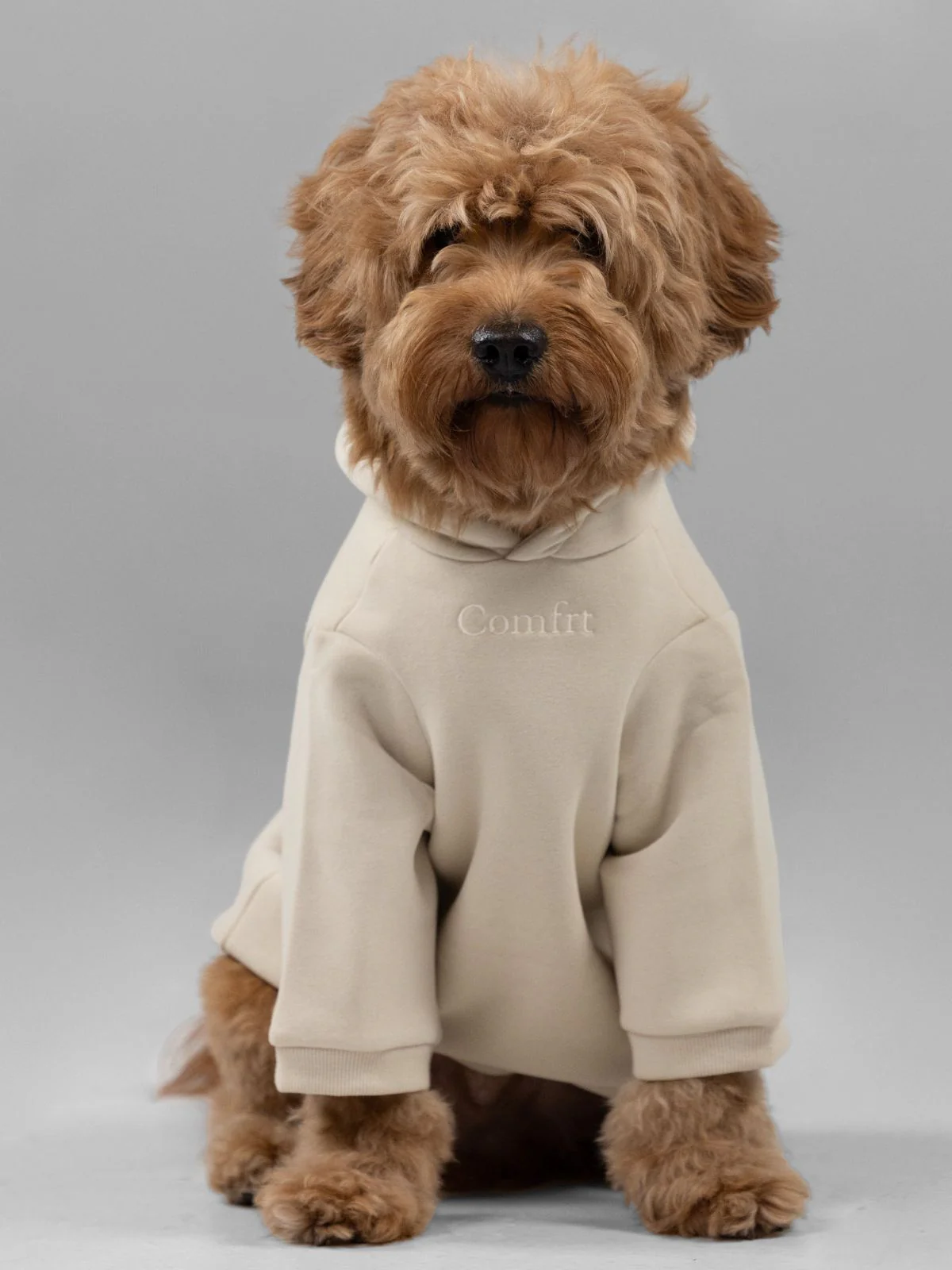 Signature Paw Hoodie -Pre Order