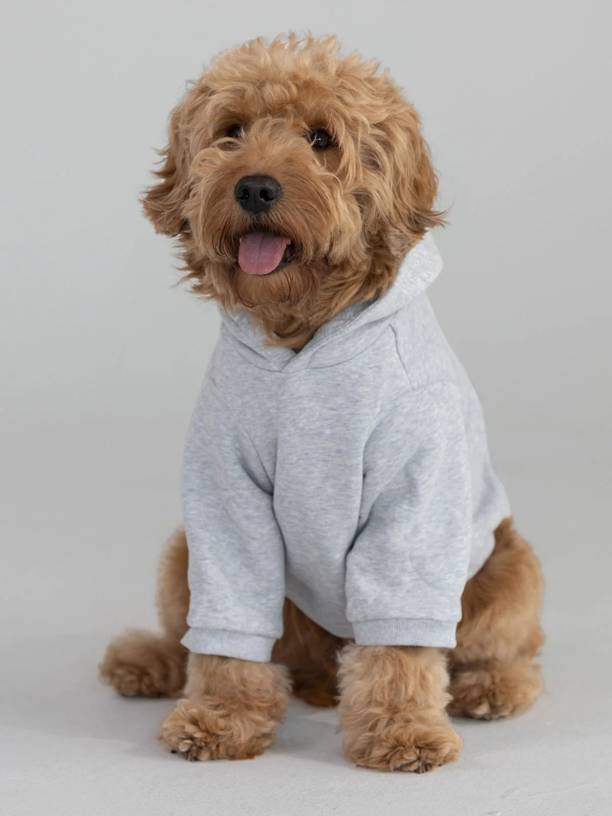 Coordinate Paw Hoodie - Pre-Order 2 Coordinate Paw Hoodie - Pre-Order