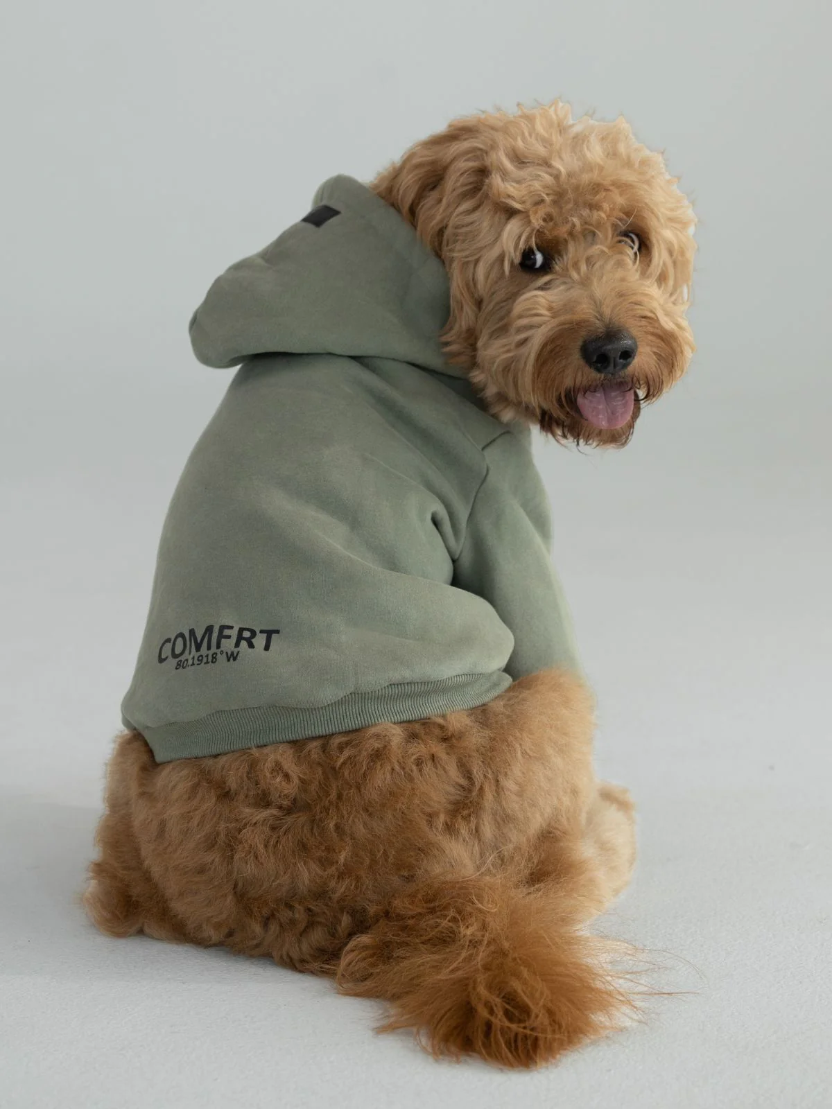 Coordinate Paw Hoodie - Pre-Order 4 Coordinate Paw Hoodie - Pre-Order
