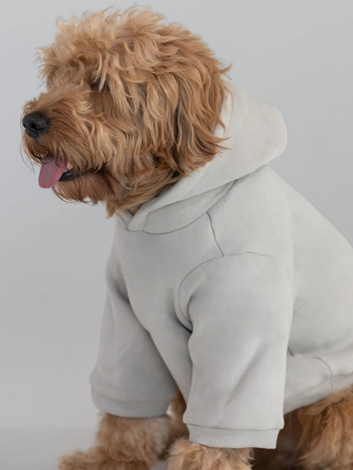 Coordinate Paw Hoodie - Pre-Order 8 Coordinate Paw Hoodie - Pre-Order