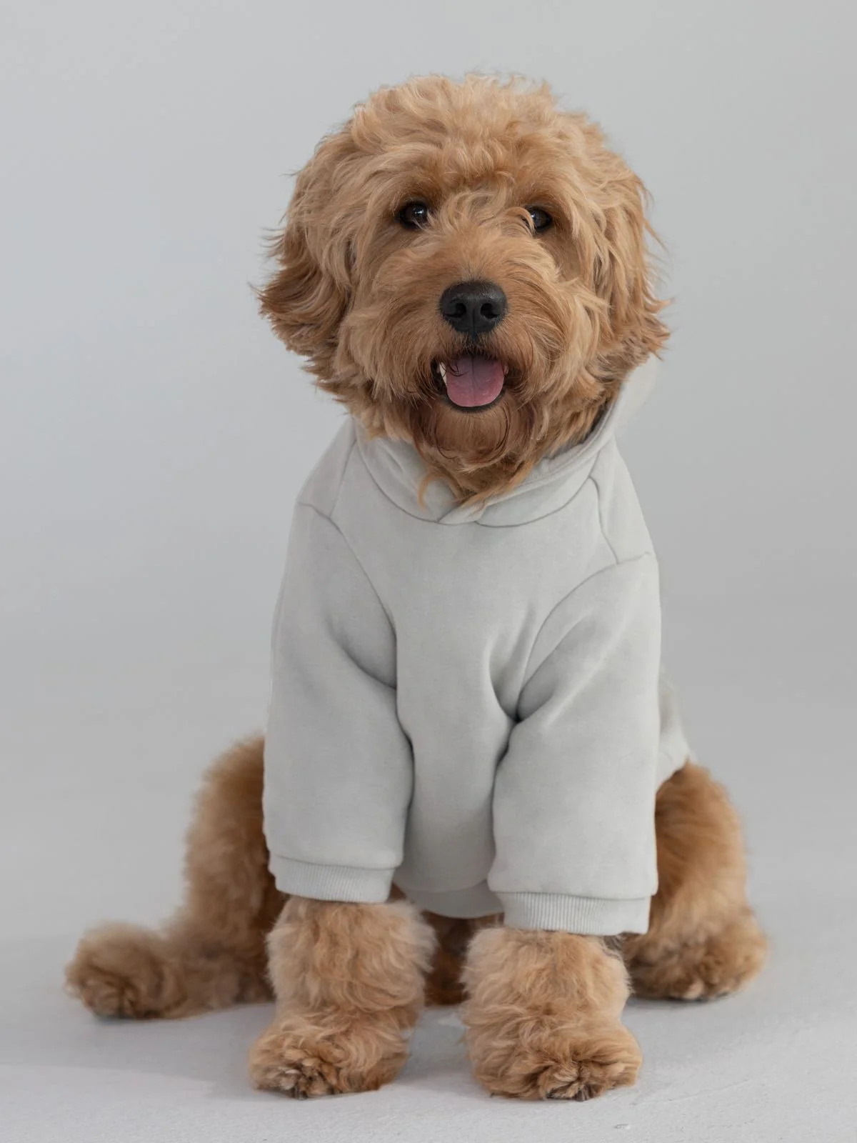 Coordinate Paw Hoodie - Pre-Order 9 Coordinate Paw Hoodie - Pre-Order
